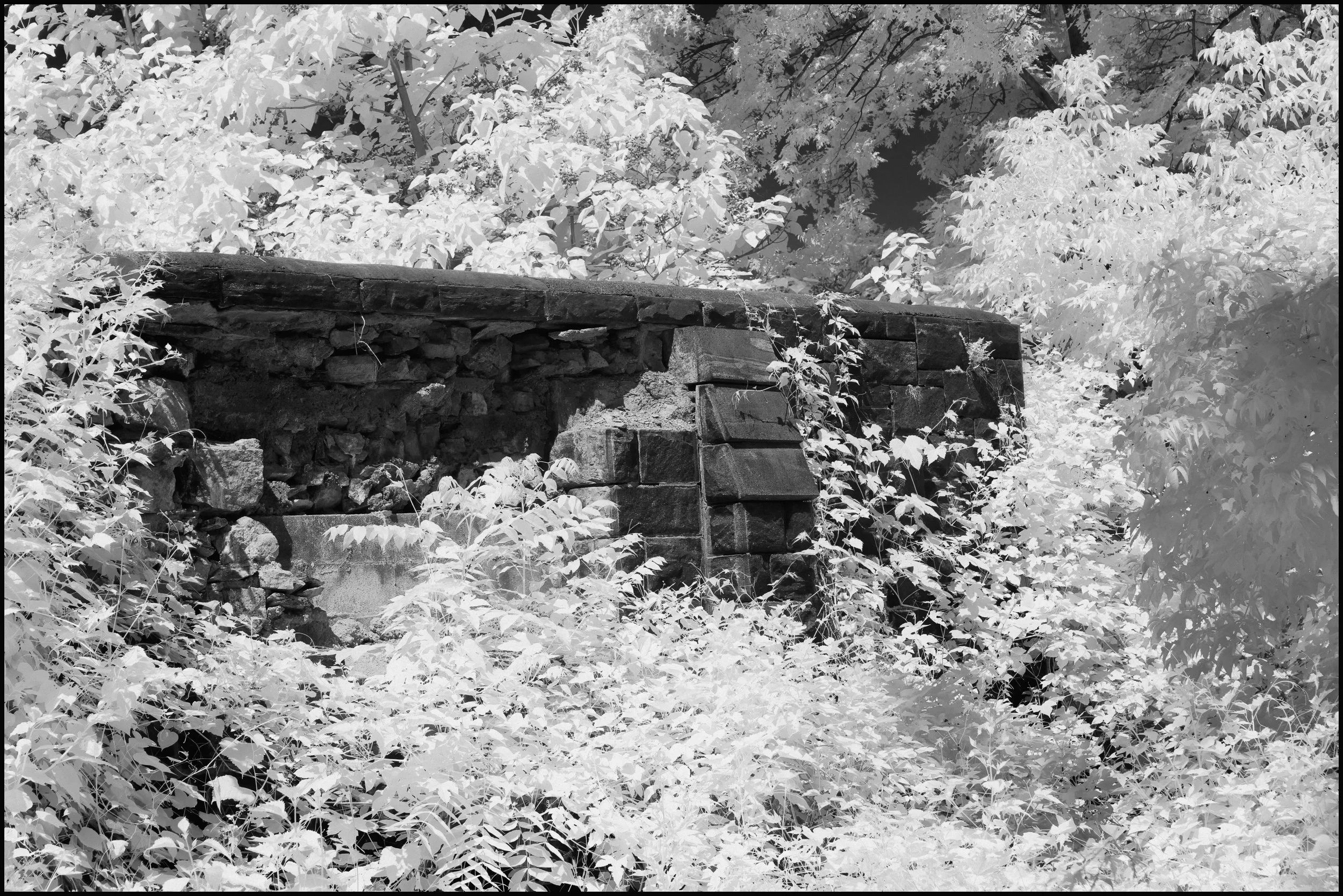 rockwoodhallir (13 of 25).jpg