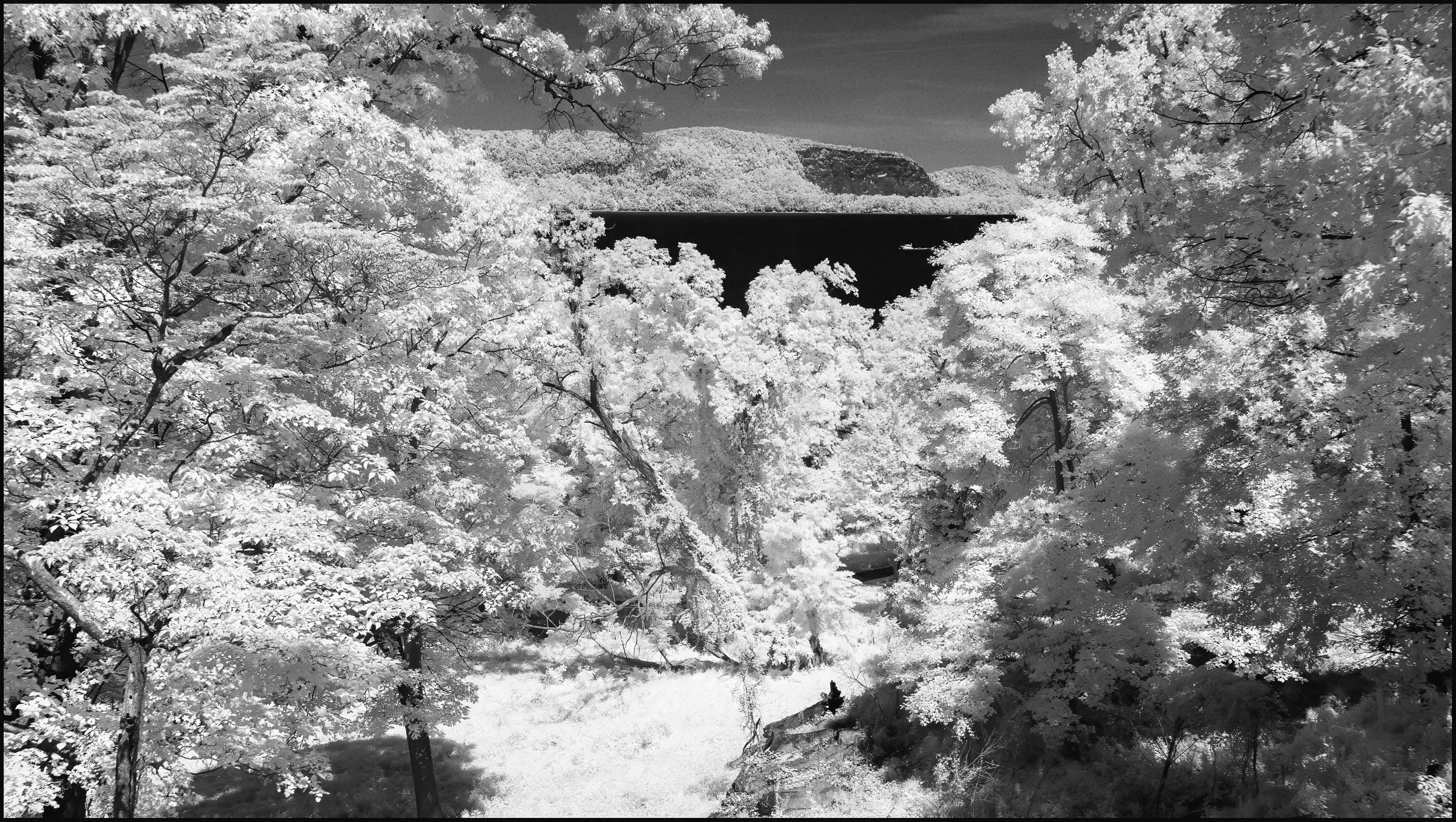 rockwoodhallir (11 of 25).jpg