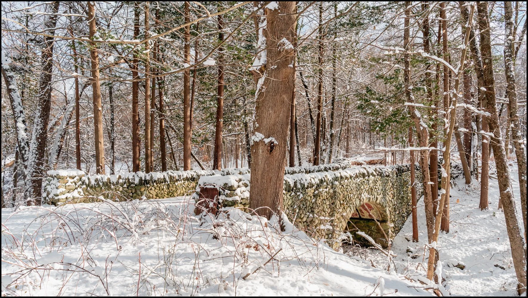 firstsnow2025 (11 of 28).jpg