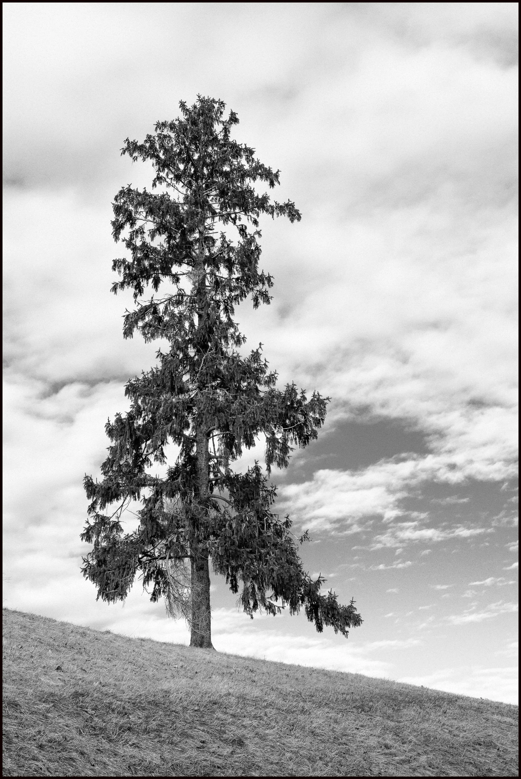 olympusomdem10 (5 of 18).jpg