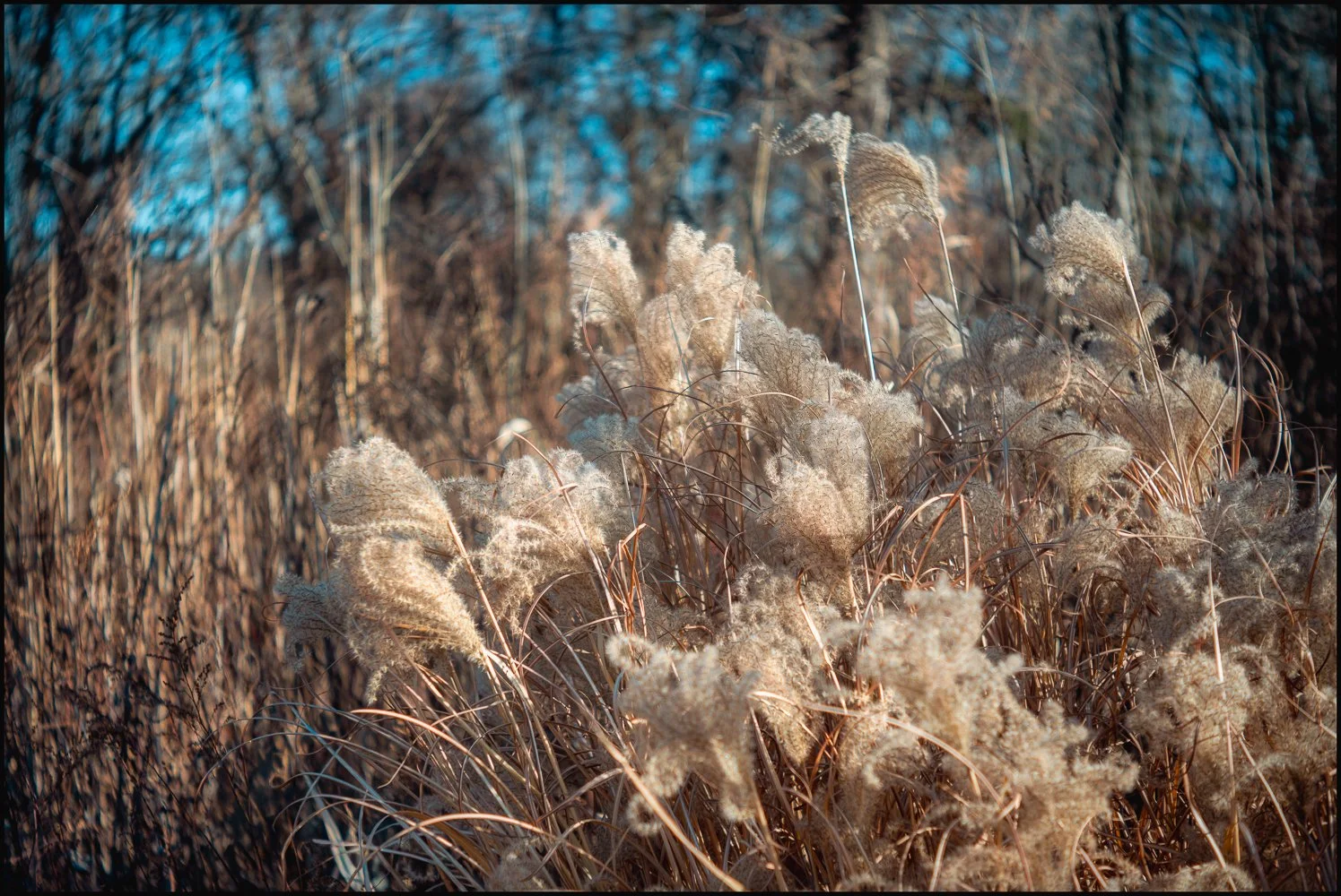 industar22 (5 of 17).jpg