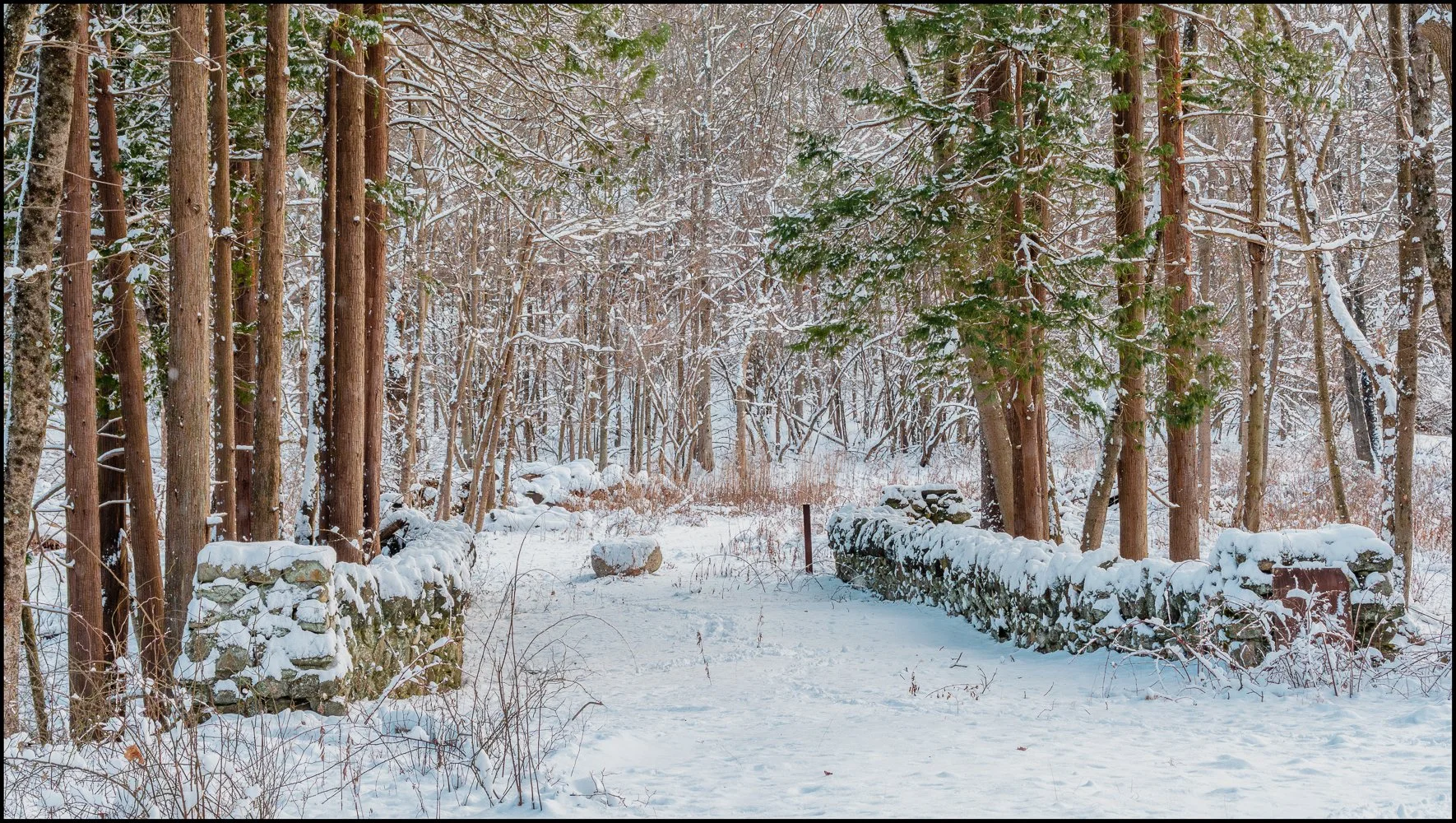 firstsnow2025 (24 of 28).jpg