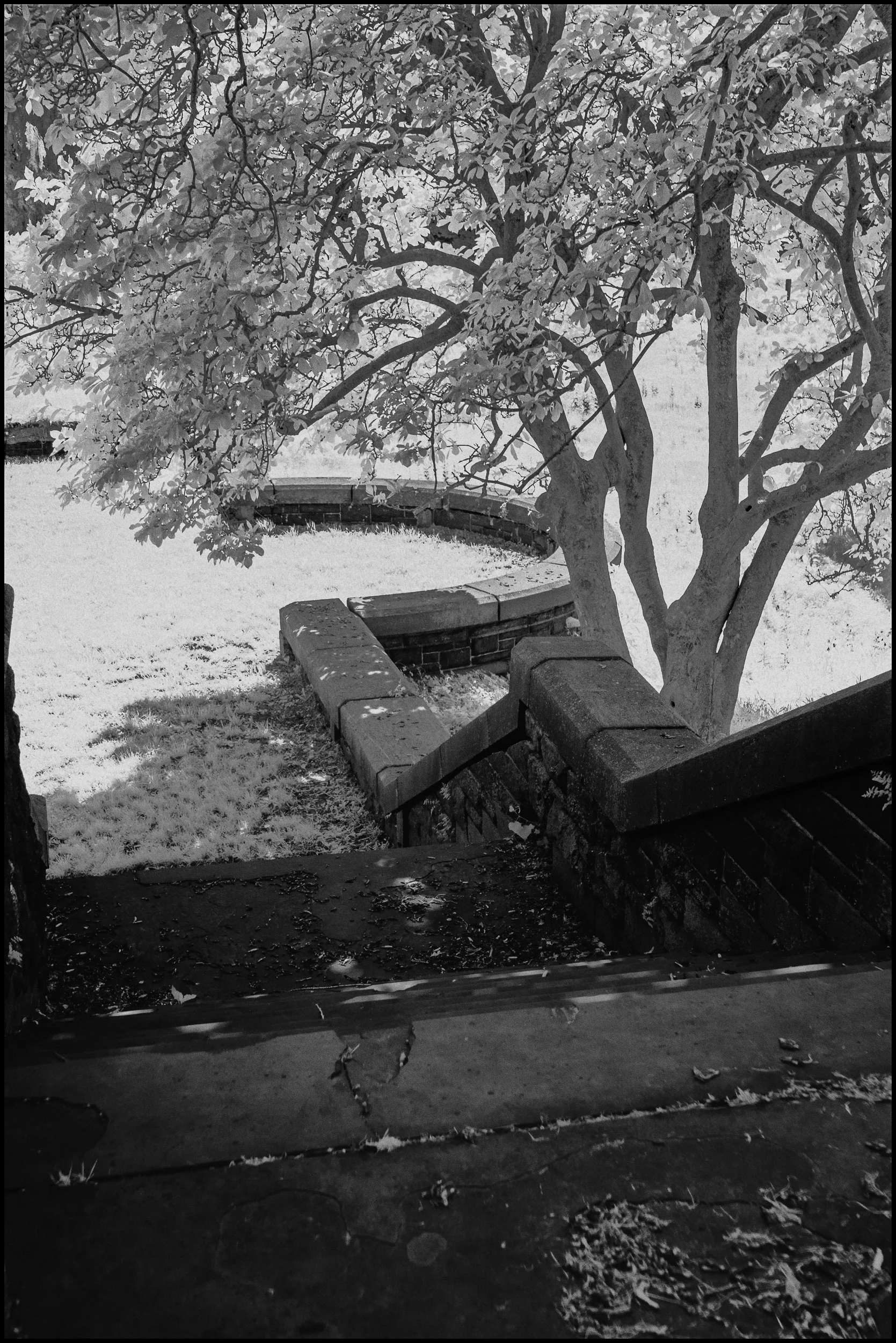 rockwoodhallir (5 of 25).jpg