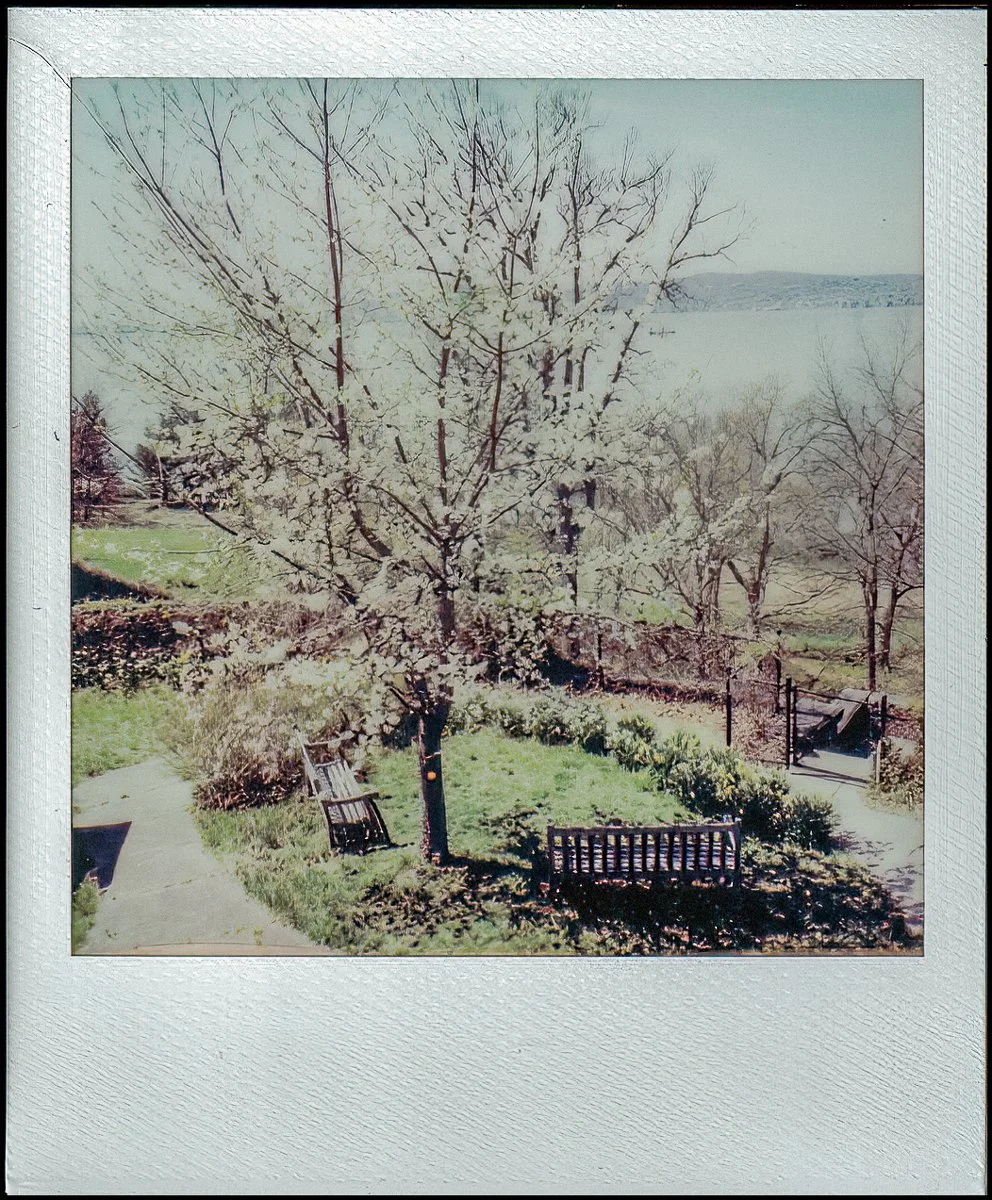 polaroidi2reslts (8 of 8).jpg