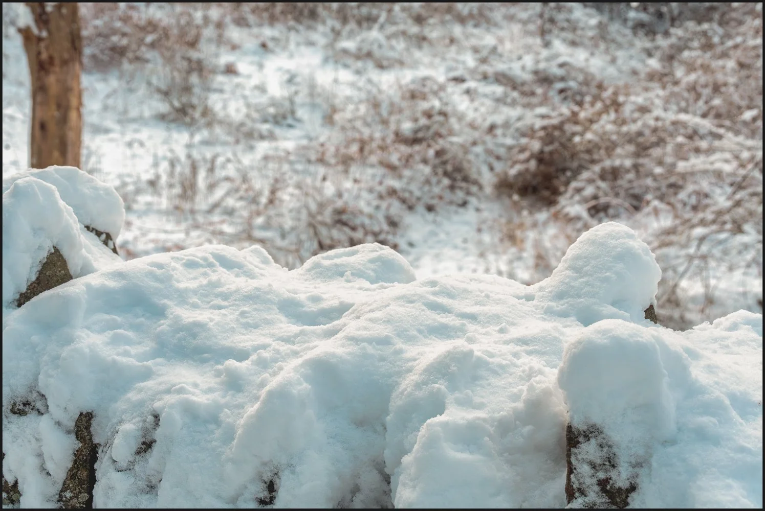 firstsnow2025 (25 of 28).jpg