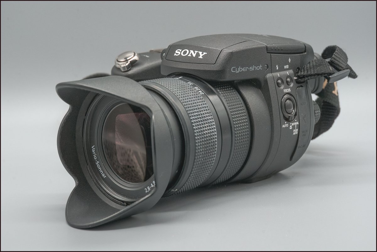 Sony R1 — Howard Dale Photography