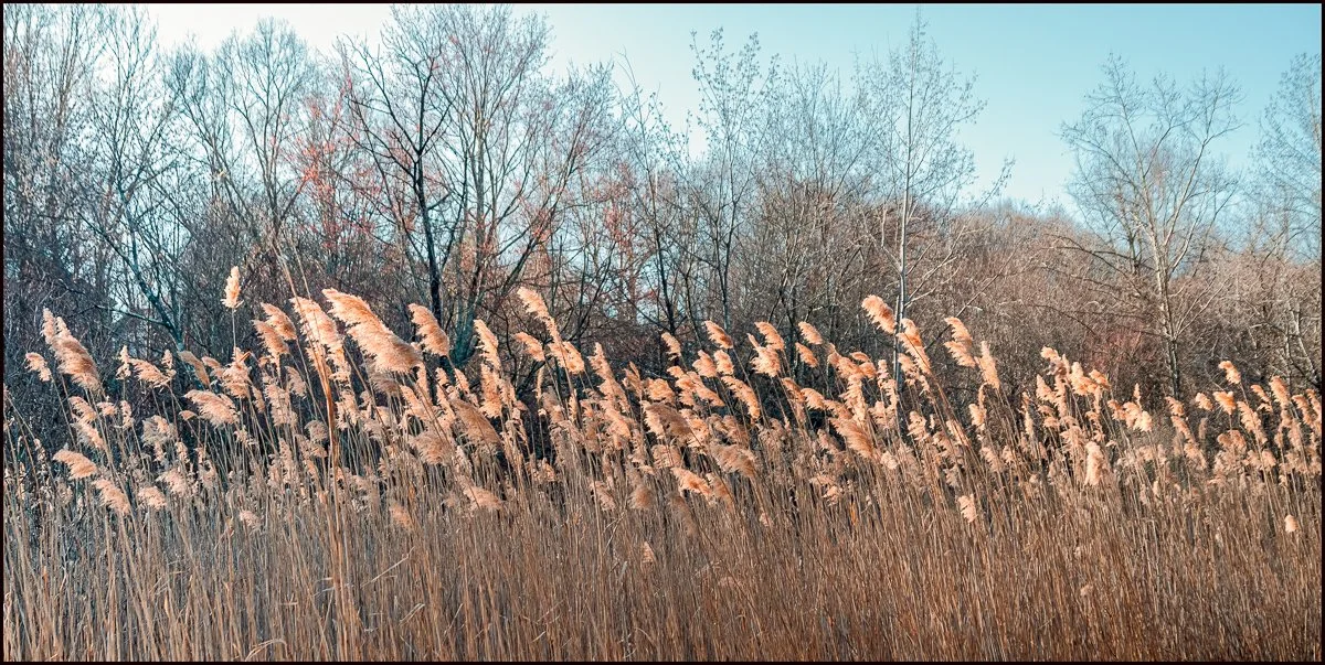 SonyR1 (26 of 37).jpg