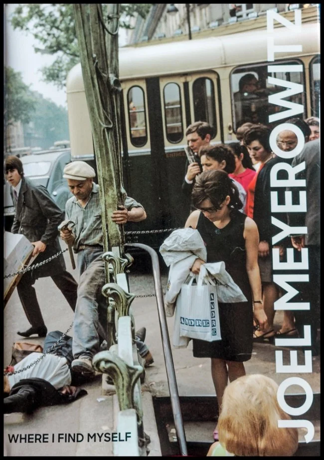 MyerowitzWhereIFindMyself.jpg