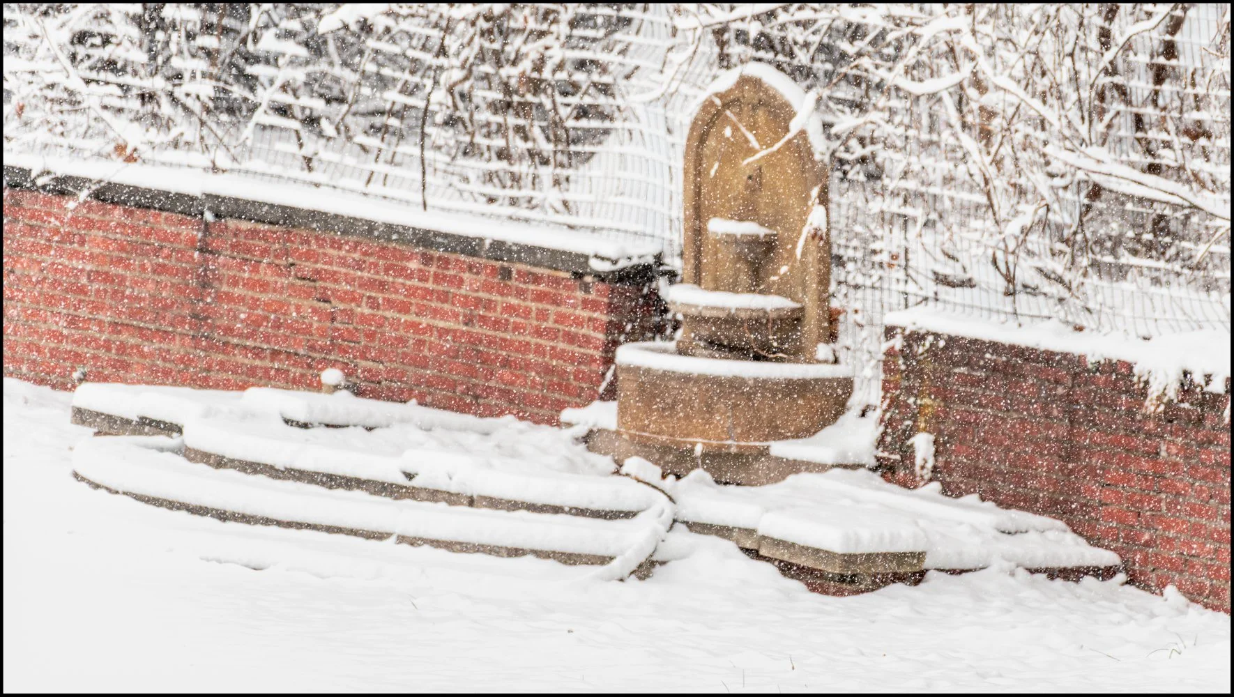 firstsnow2025 (2 of 28).jpg