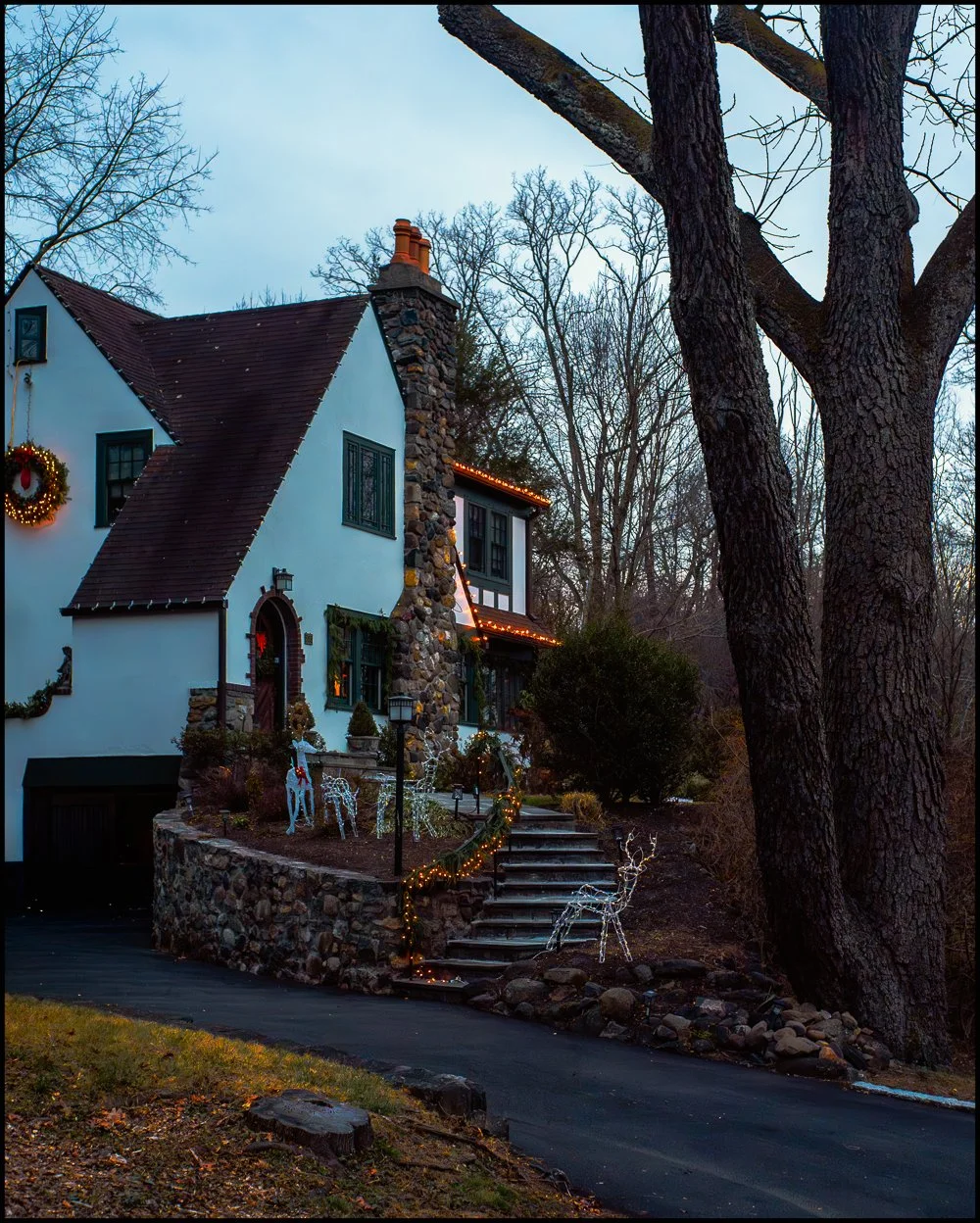 minolta45mmf2 (36 of 36).jpg