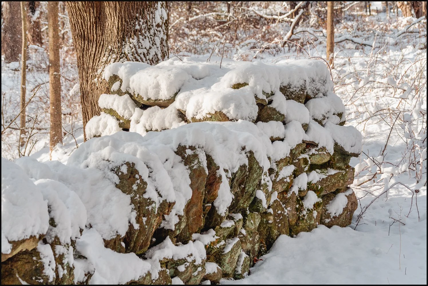 firstsnow2025 (10 of 28).jpg