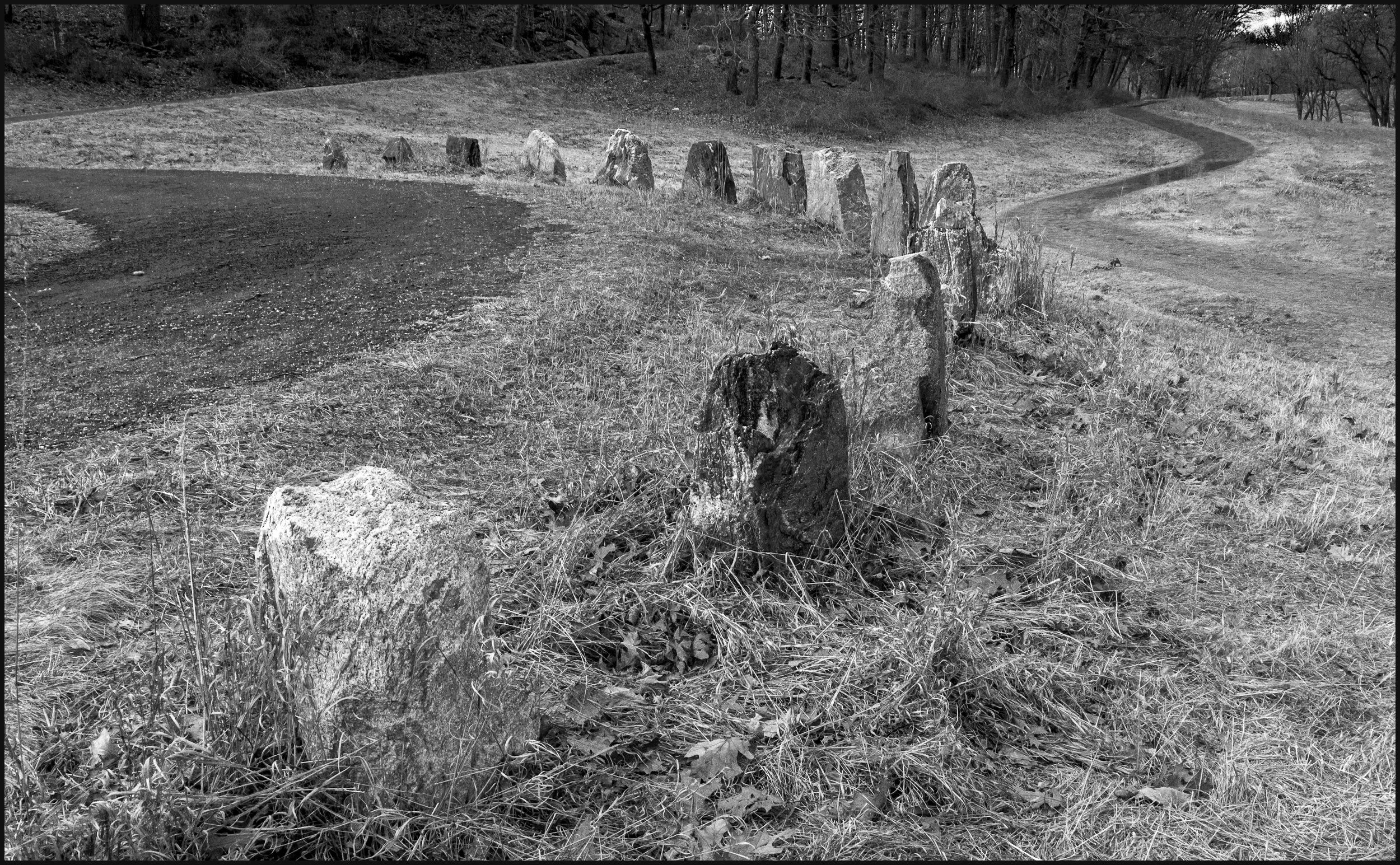 olympusomdem10 (16 of 18).jpg