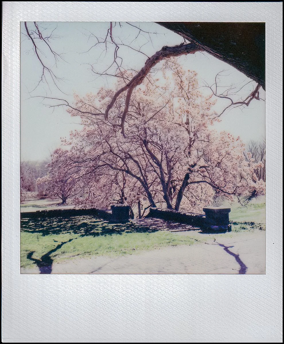 polaroidi2reslts (5 of 8).jpg