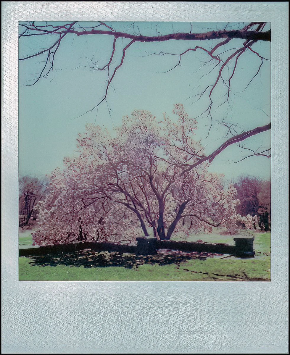 polaroidi2reslts (2 of 8).jpg