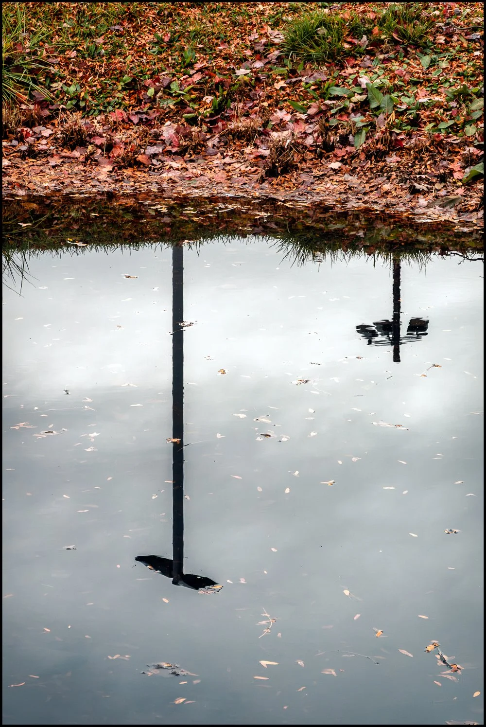 Reflections.  Tarrytown, NY.  November 2025.