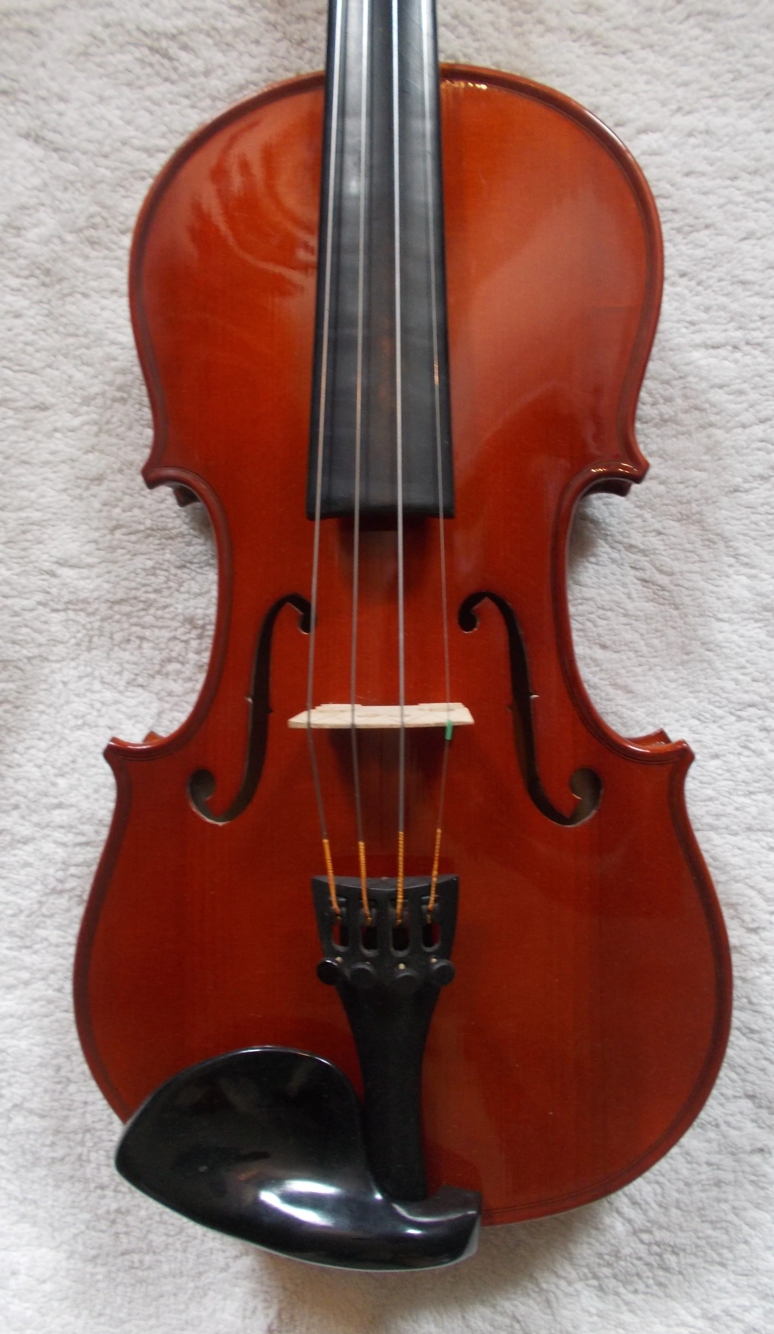 3.4 violin chinese unlabled.JPG