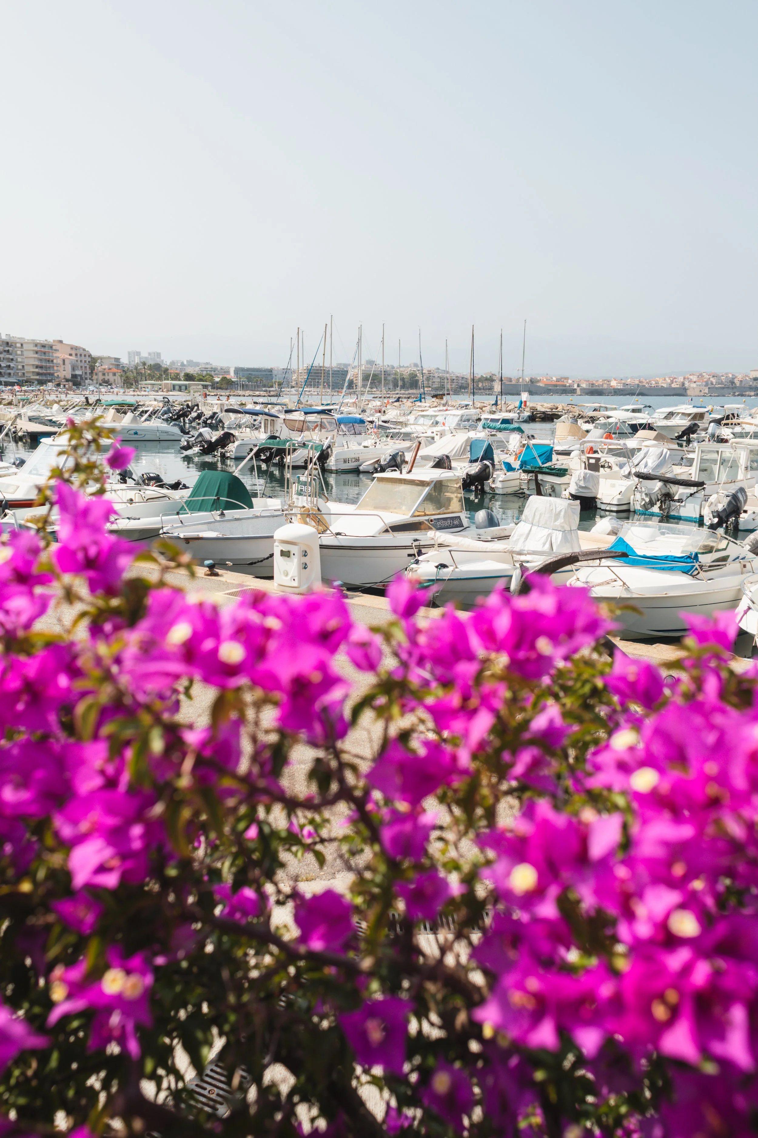 antibes25-7.jpg