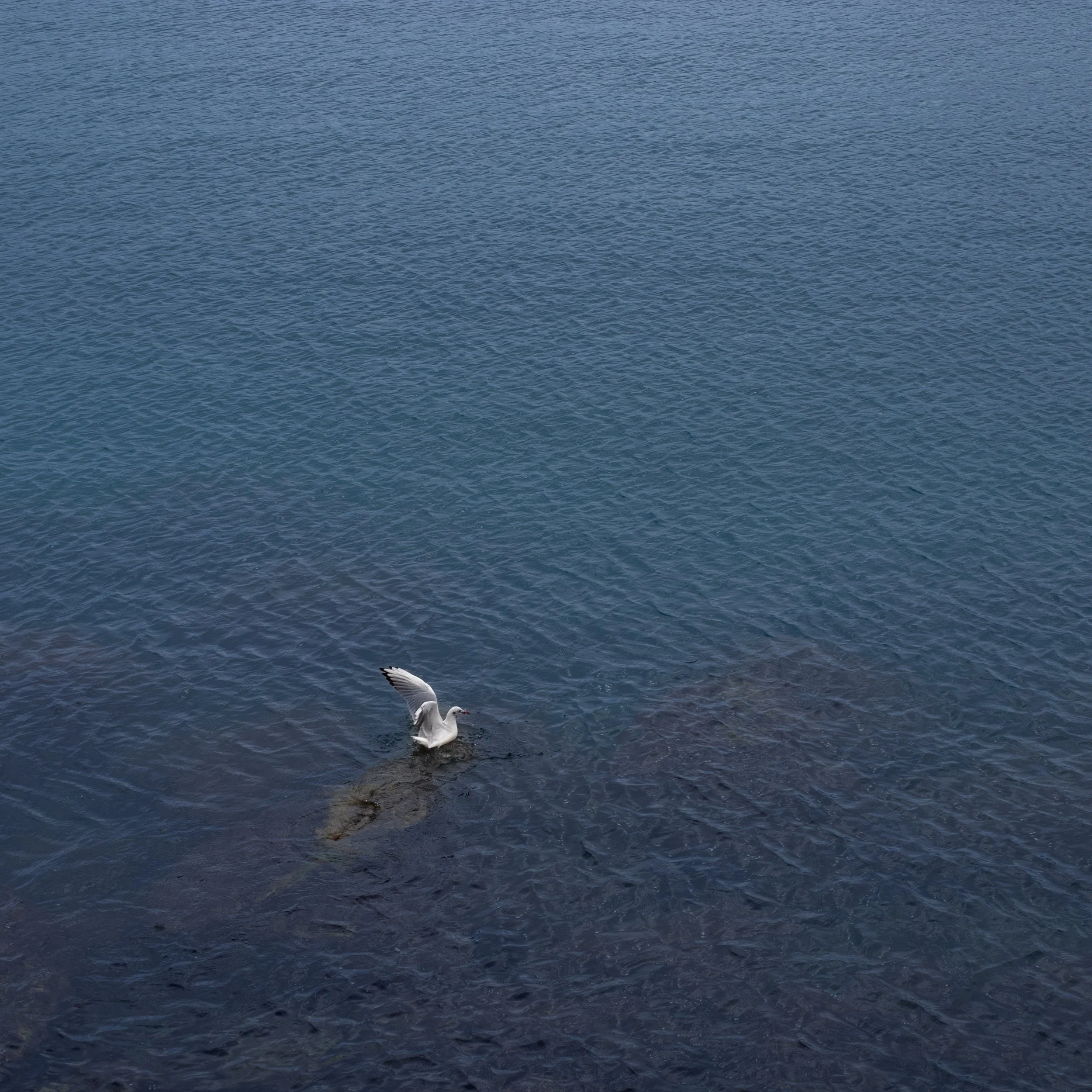 _MG_9084.jpg