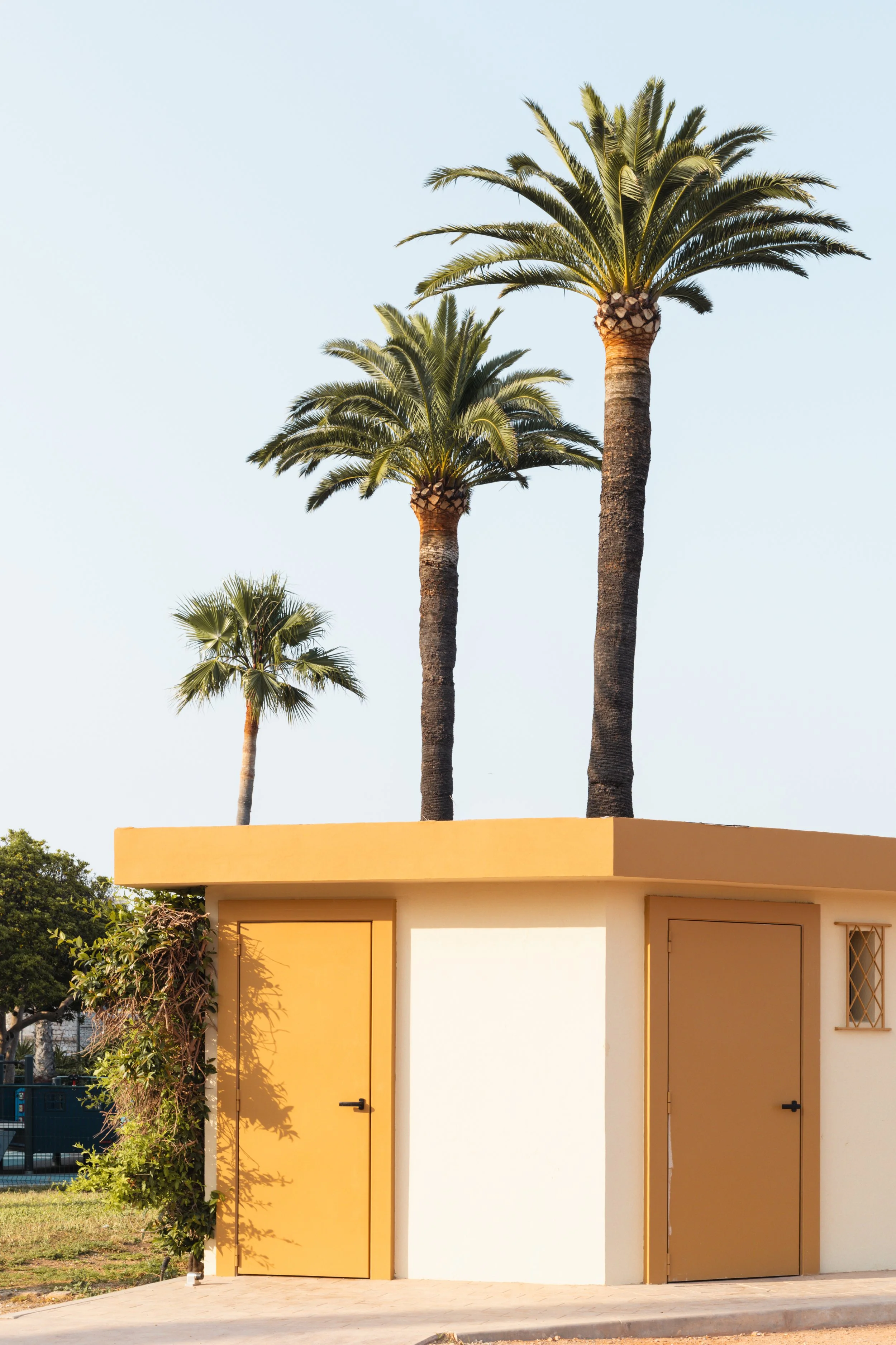 antibes25-8.jpg
