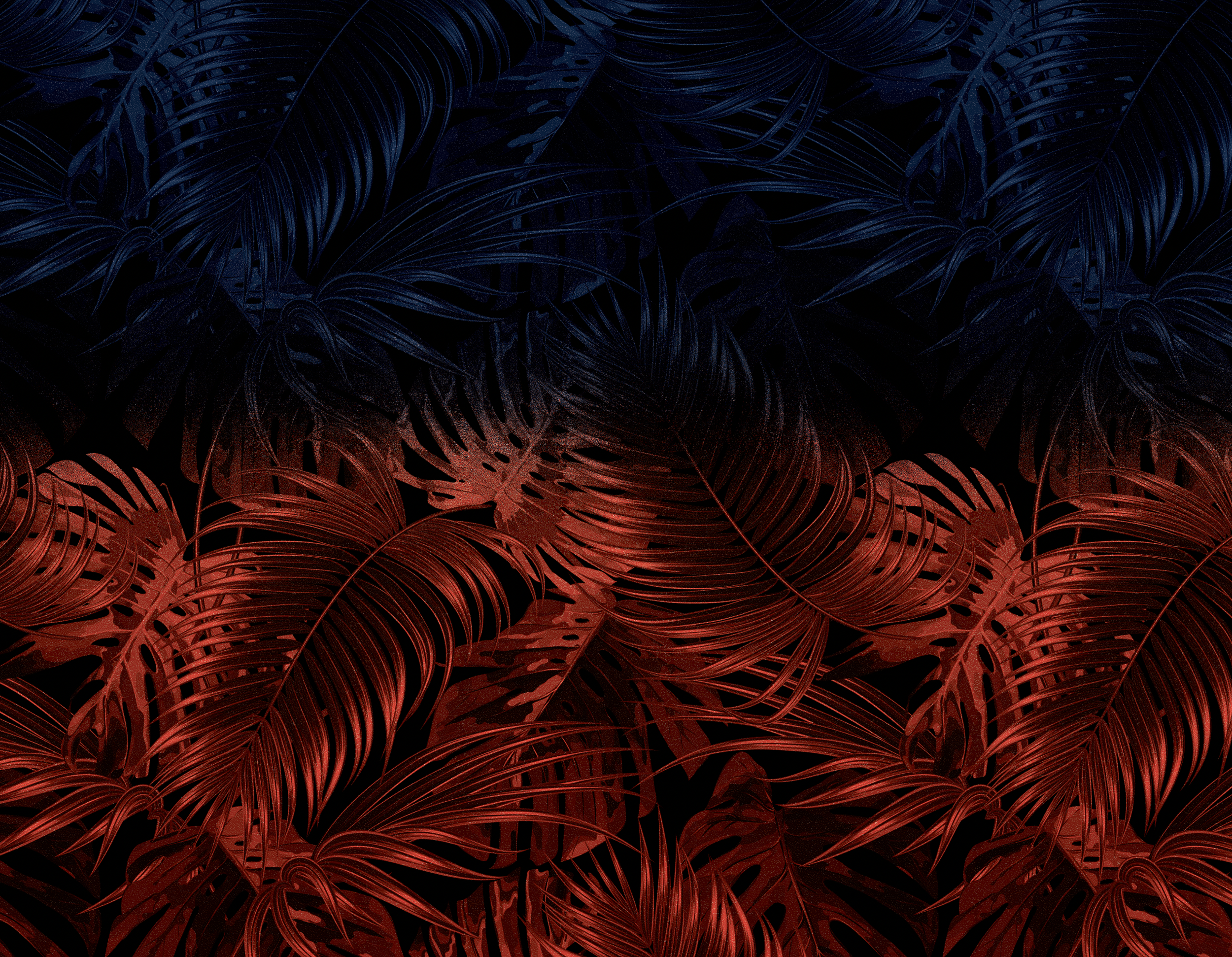 Screen Shot 2024-01-16 at 11.29.33 AM.png