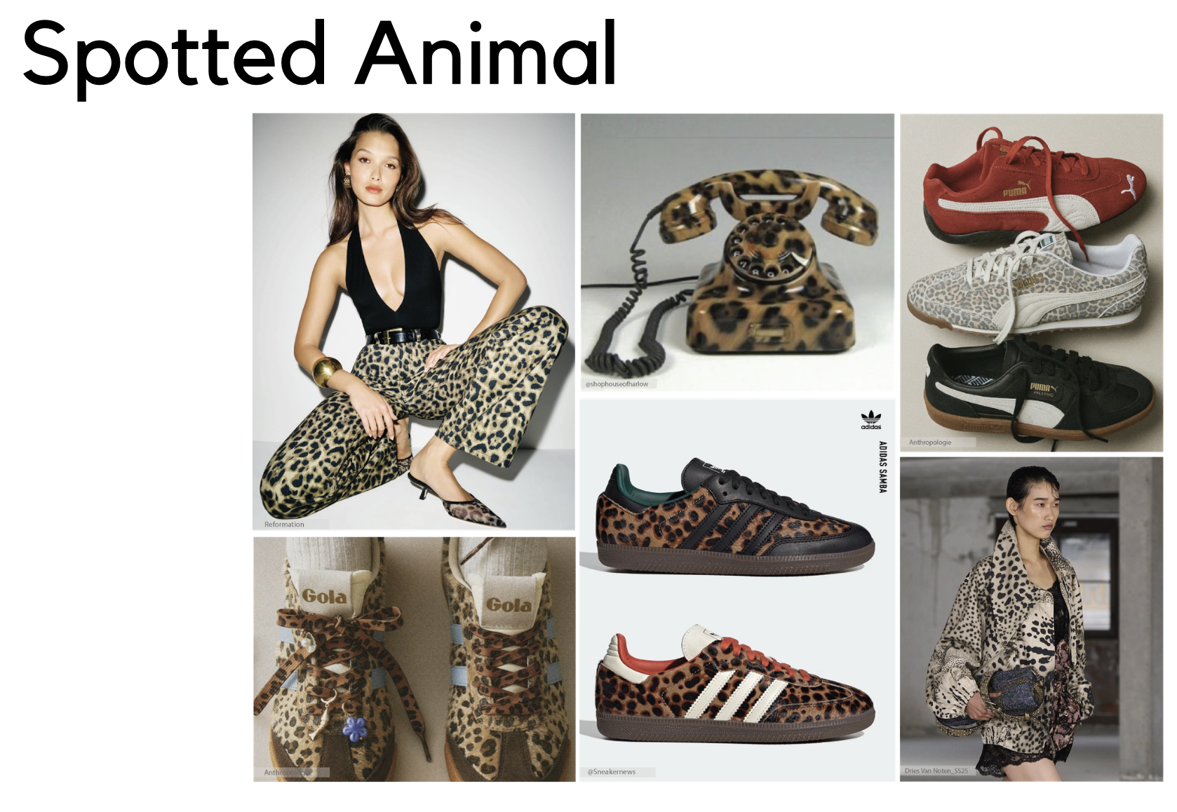 Screenshot 2026-03-24 at 10.50.20 AM.png