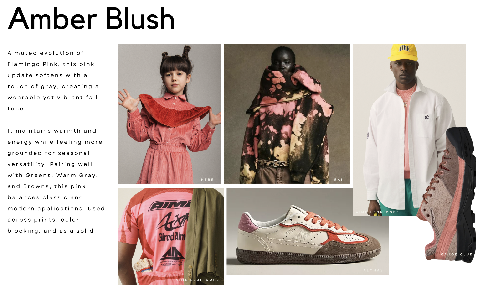 Screenshot 2026-03-24 at 10.23.17 AM.png