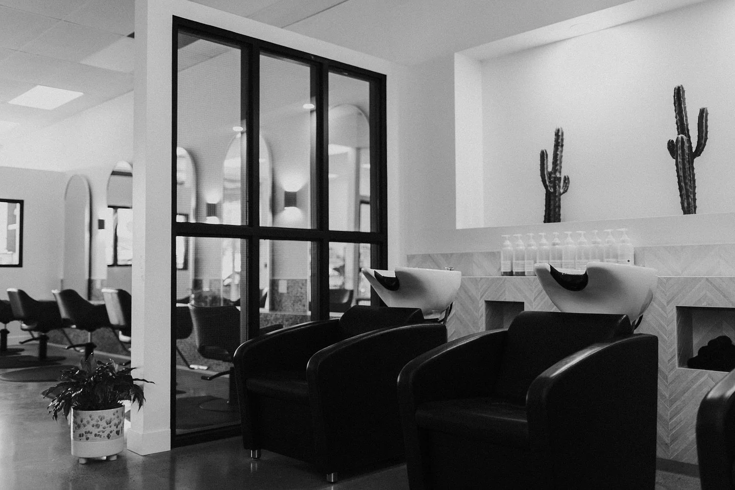 Pick a chair, any chair 🤓