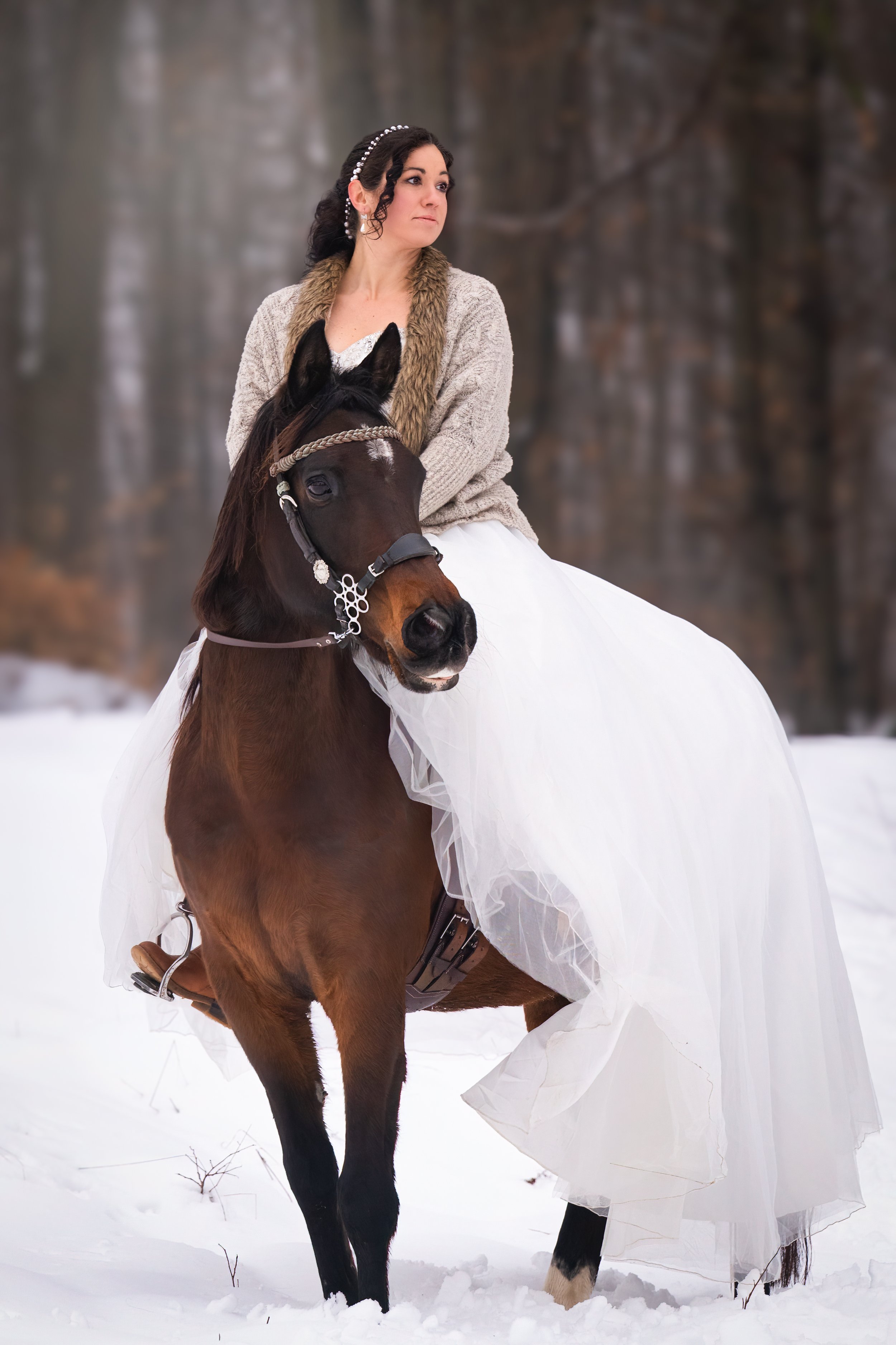 Tierfotografie. Fotoshooting mit Pferd