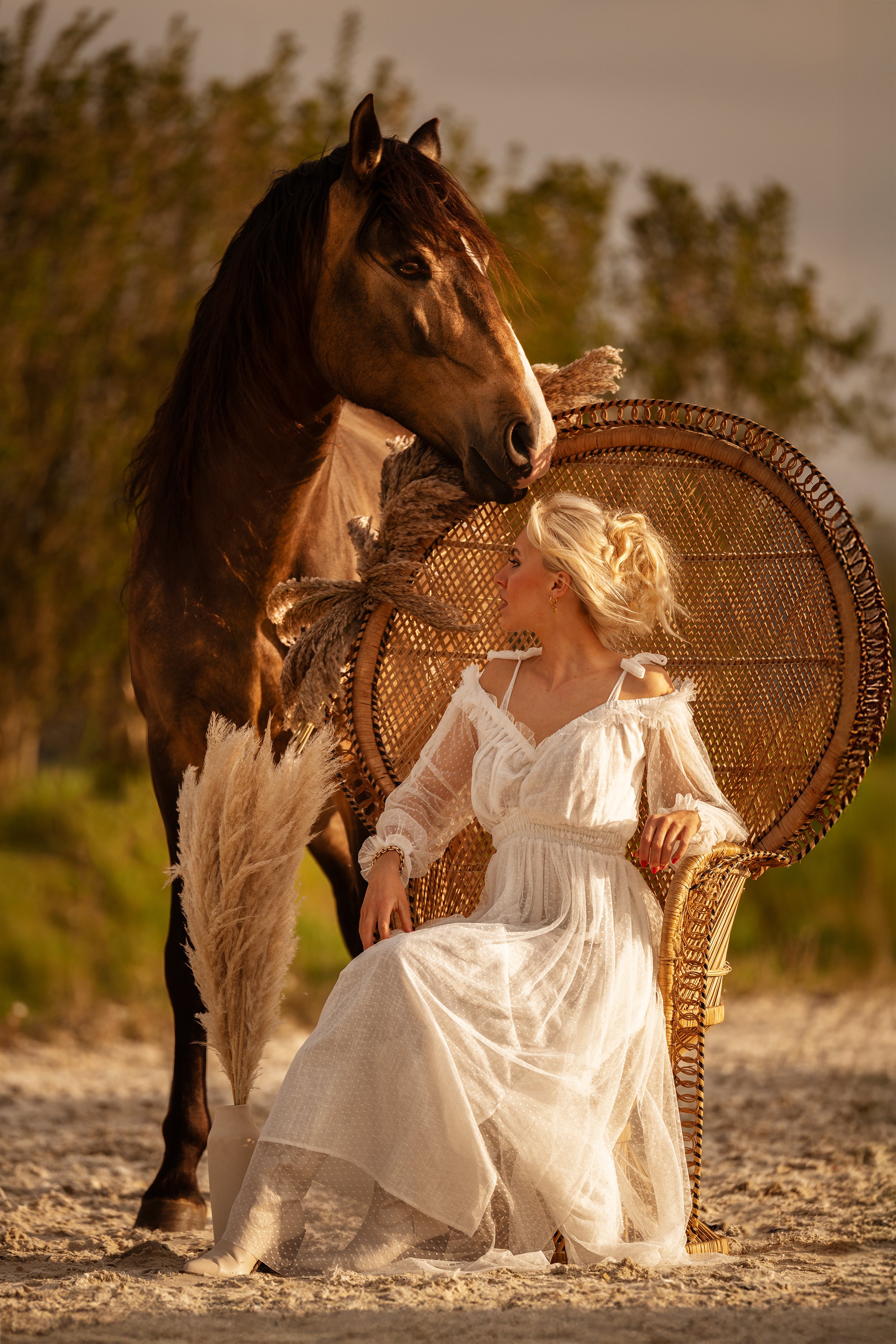 Tierfotografie. Fotoshooting mit Pferd