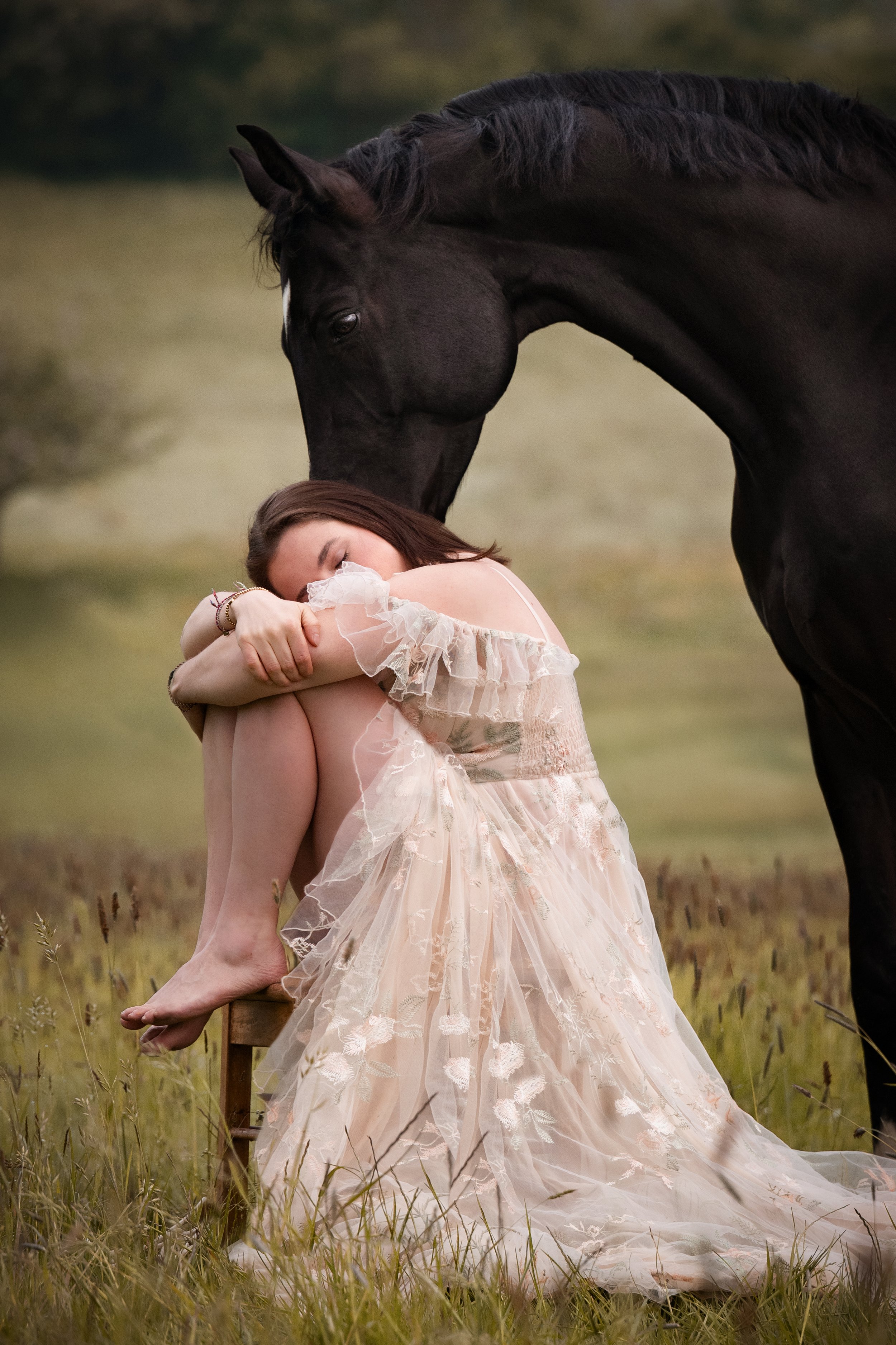 Tierfotografie. Fotoshooting mit Pferd