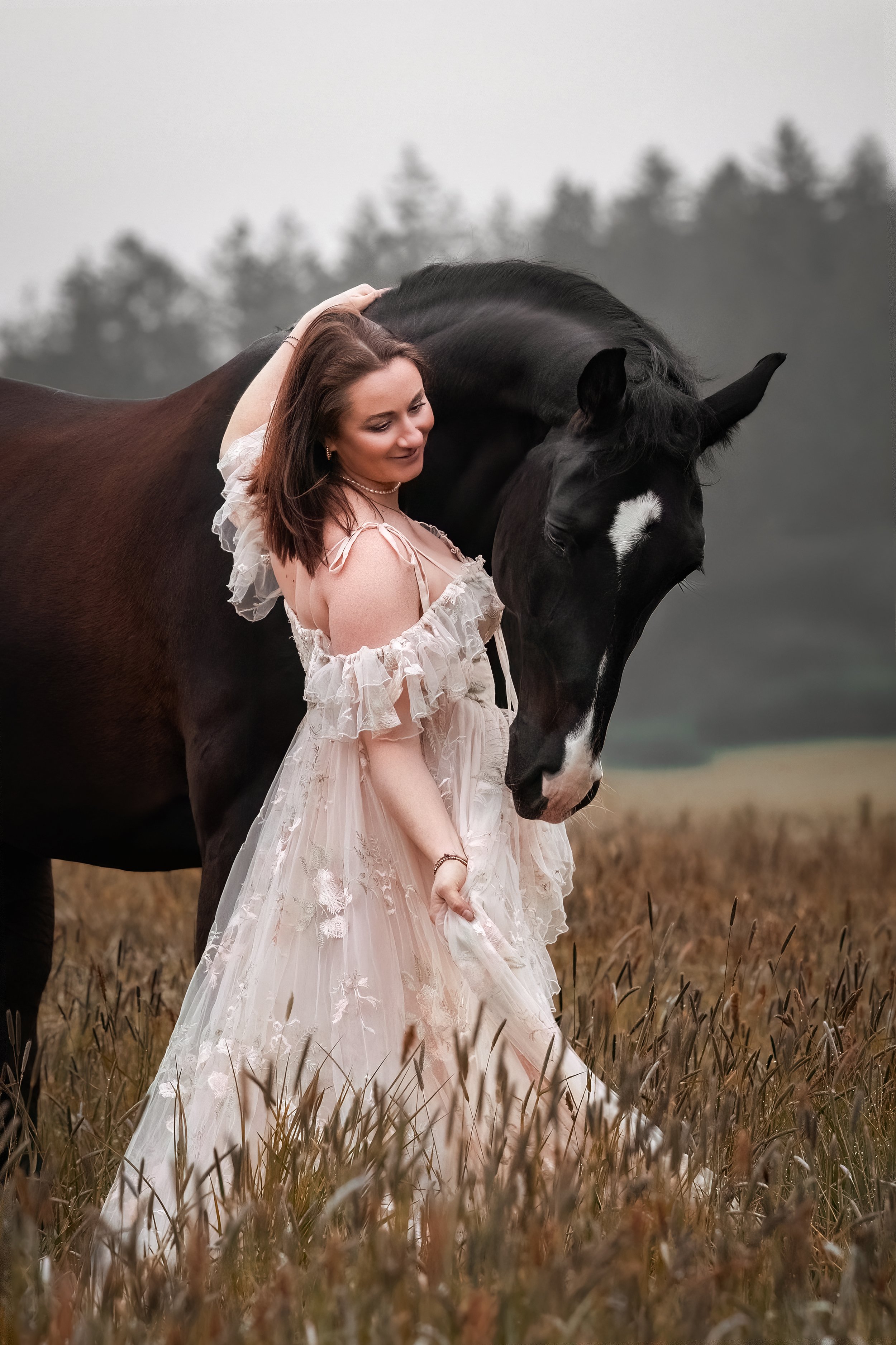 Tierfotografie. Fotoshooting mit Pferd