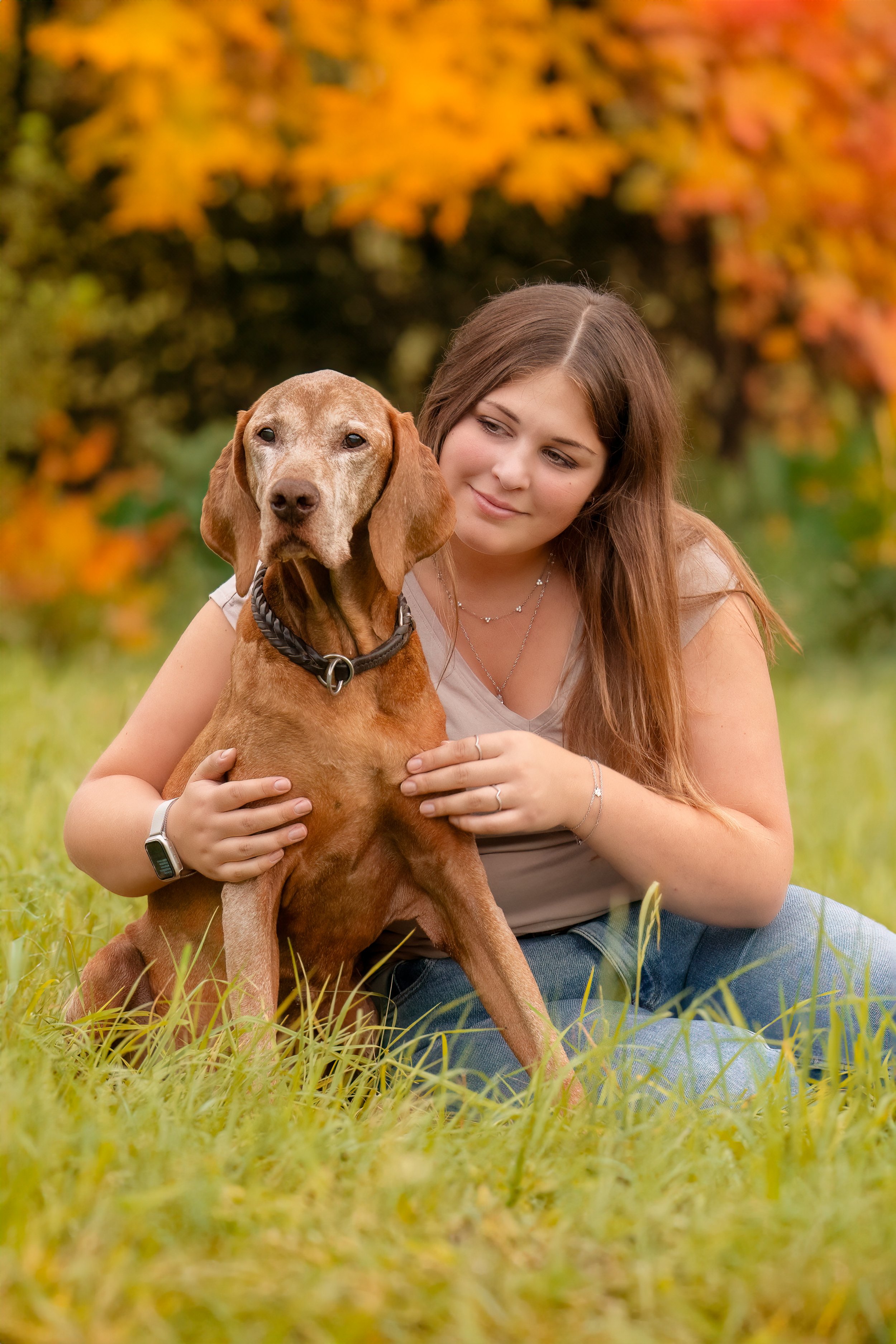 Tierfotografie. Fotoshooting mit Hund