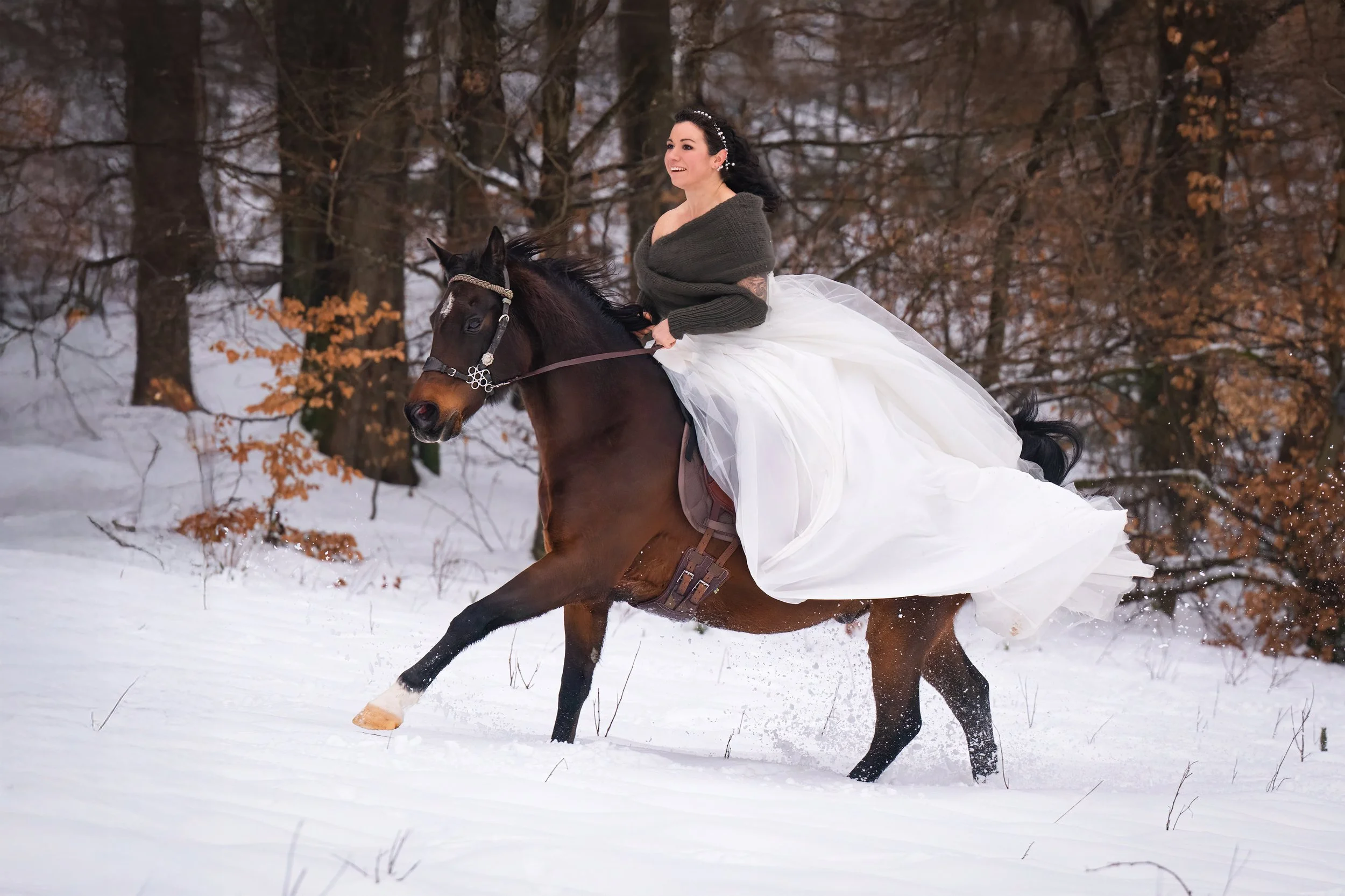 Tierfotografie. Fotoshooting mit Pferd