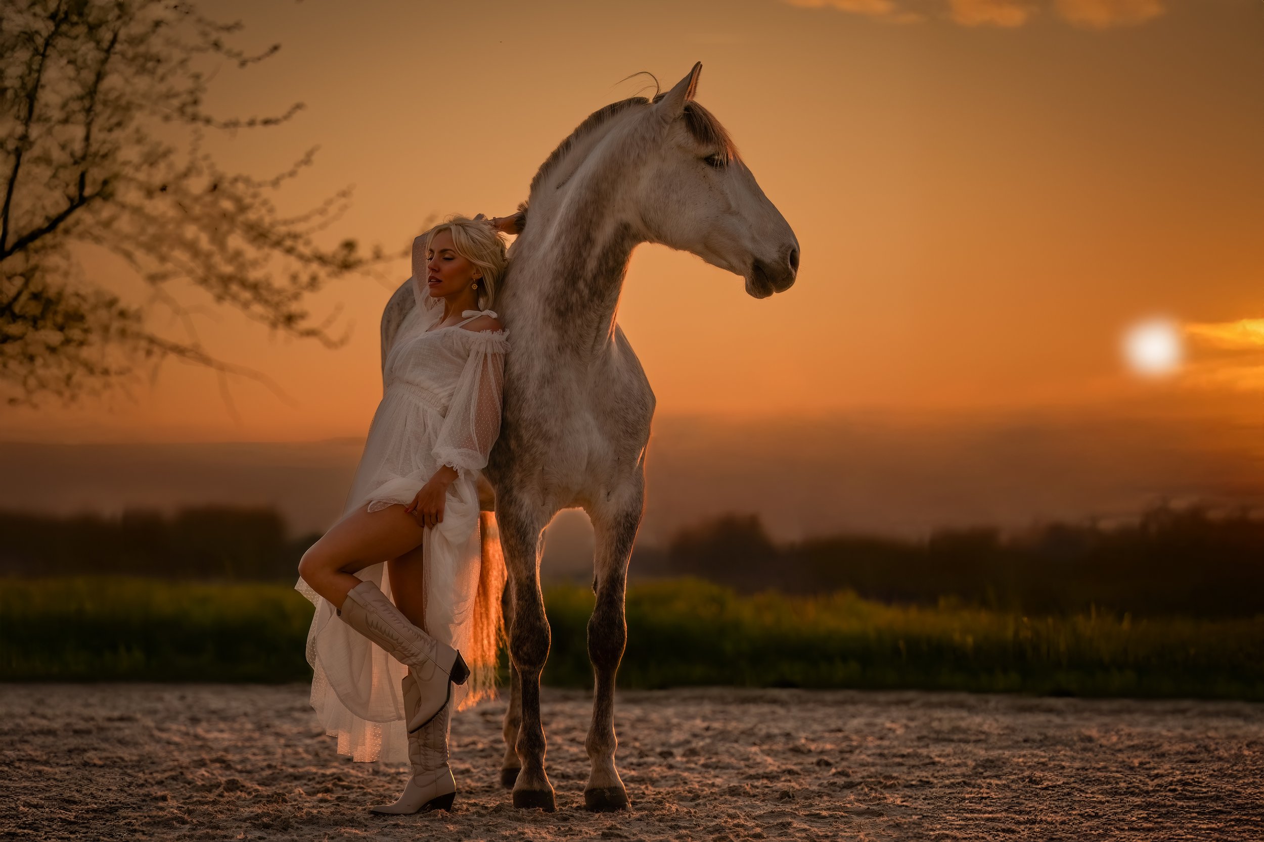 Tierfotografie. Fotoshooting mit Pferd