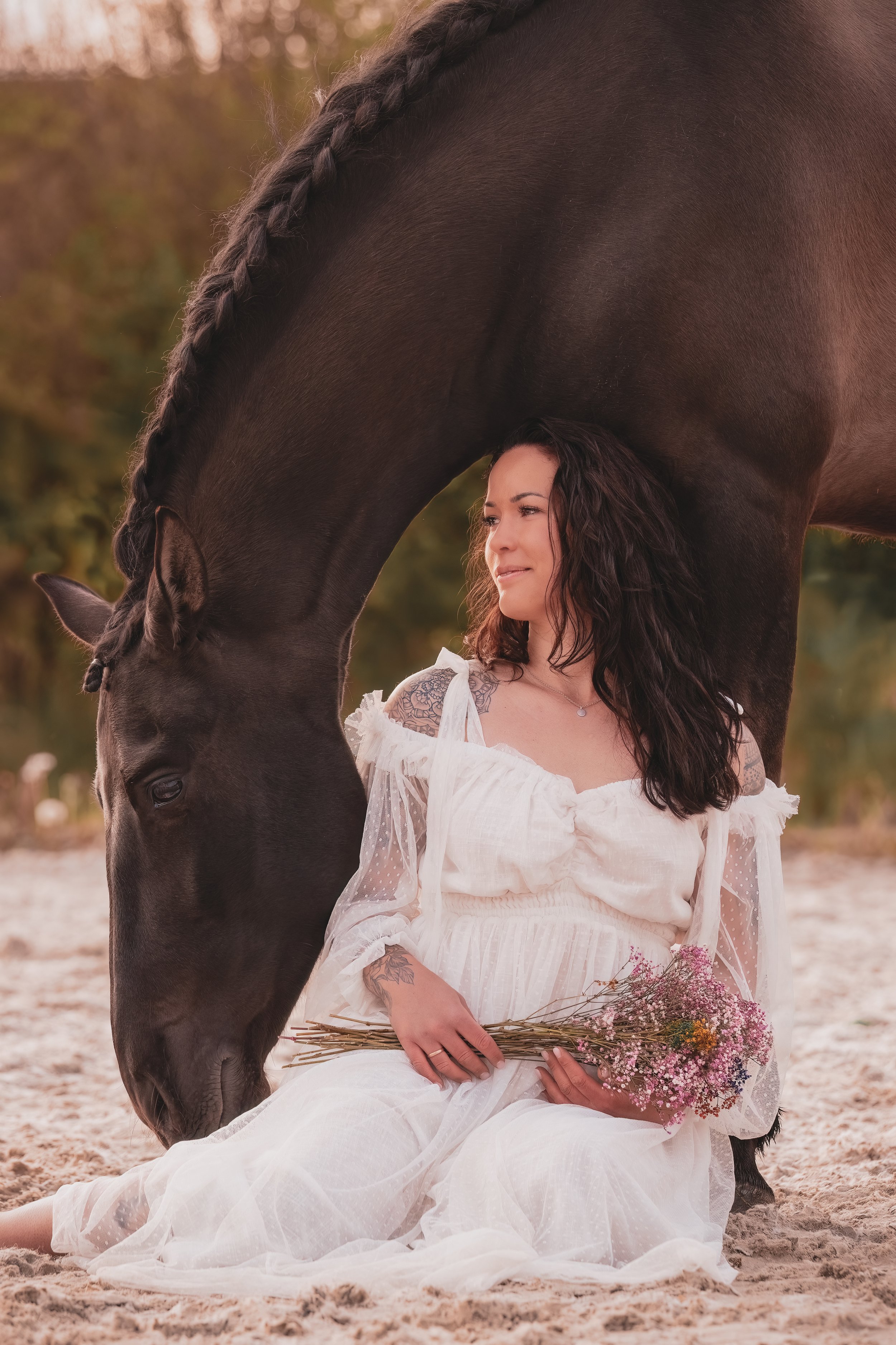 Tierfotografie. Fotoshooting mit Pferd