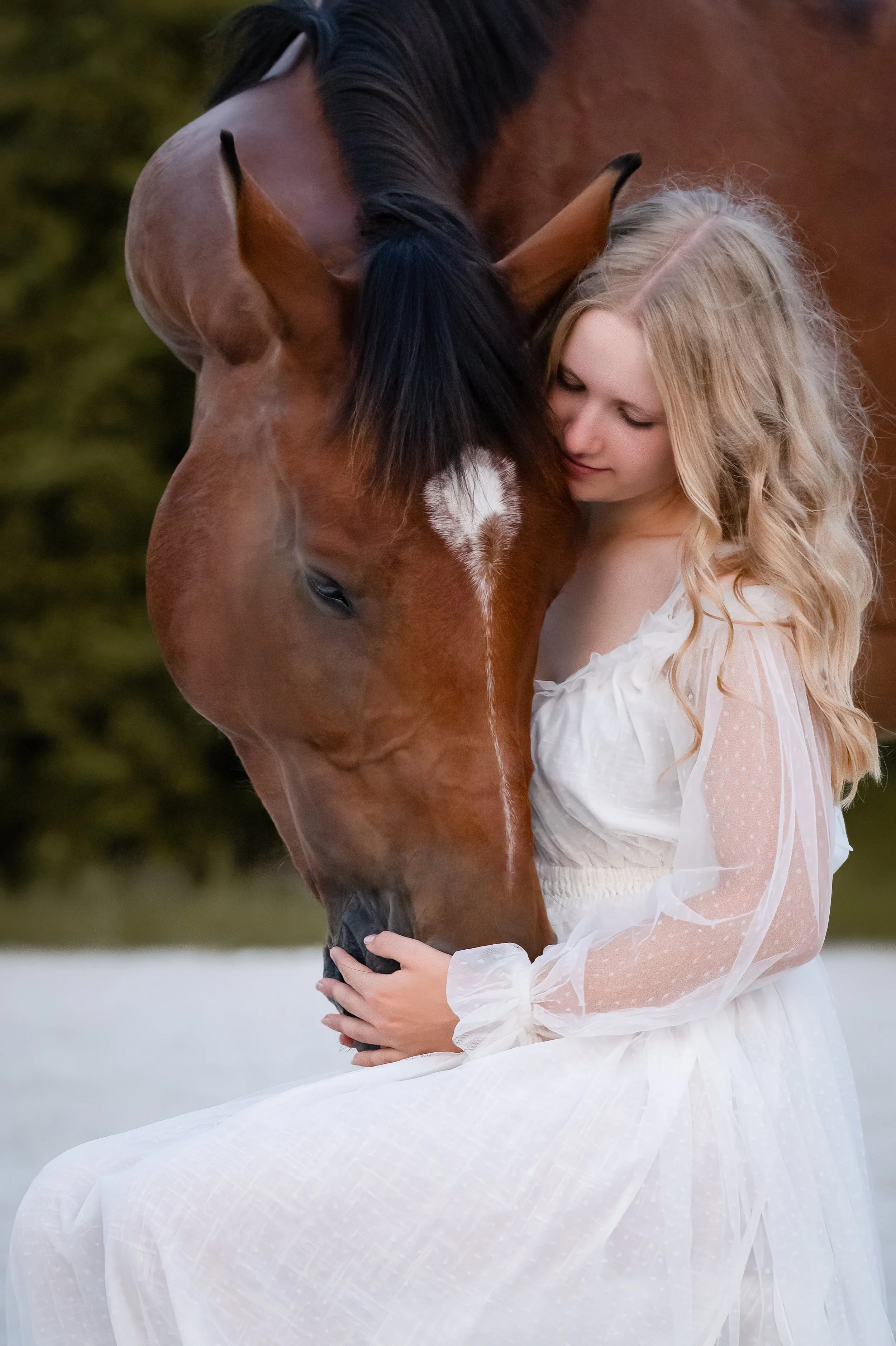 Tierfotografie. Fotoshooting mit Pferd