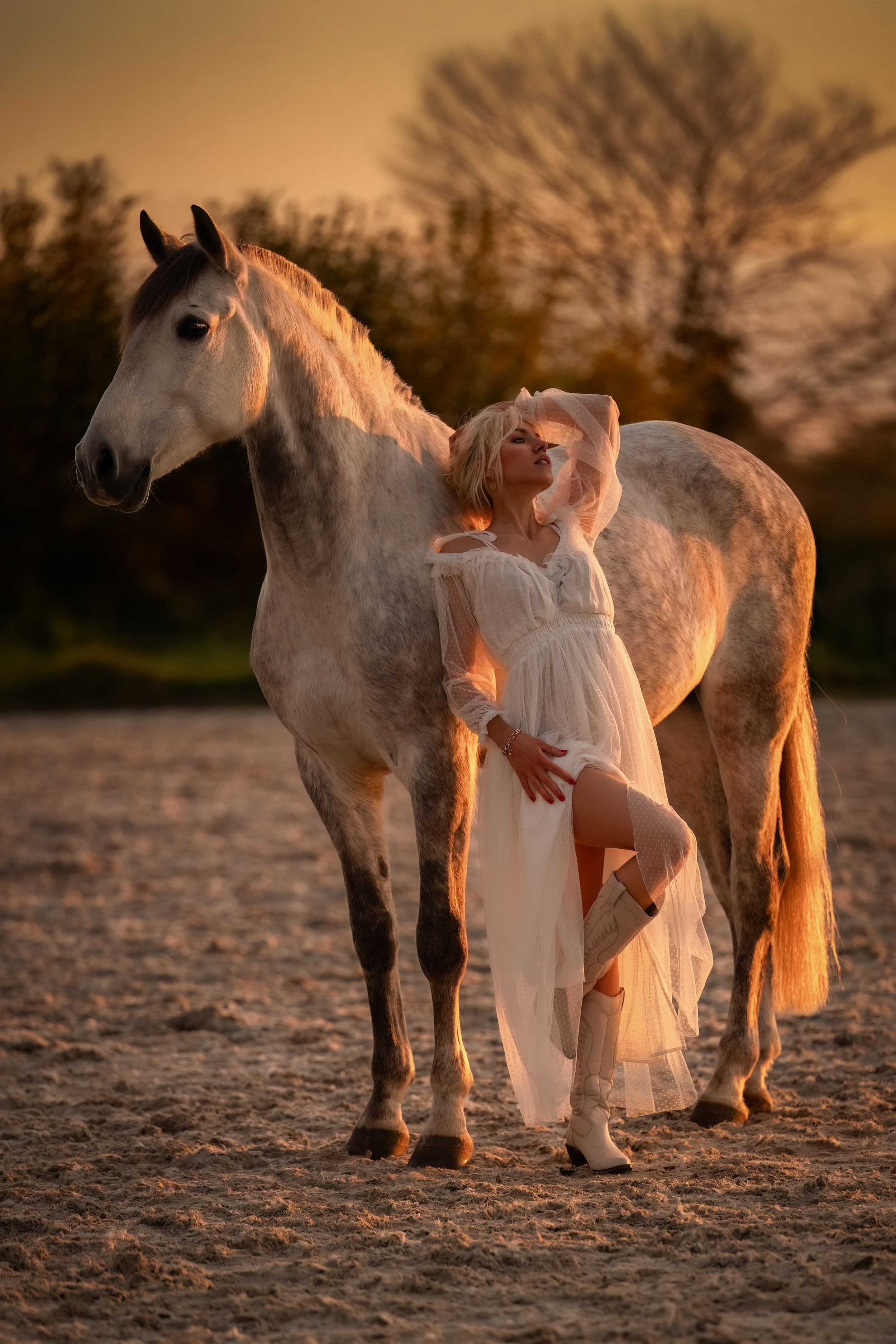 Tierfotografie. Fotoshooting mit Pferd