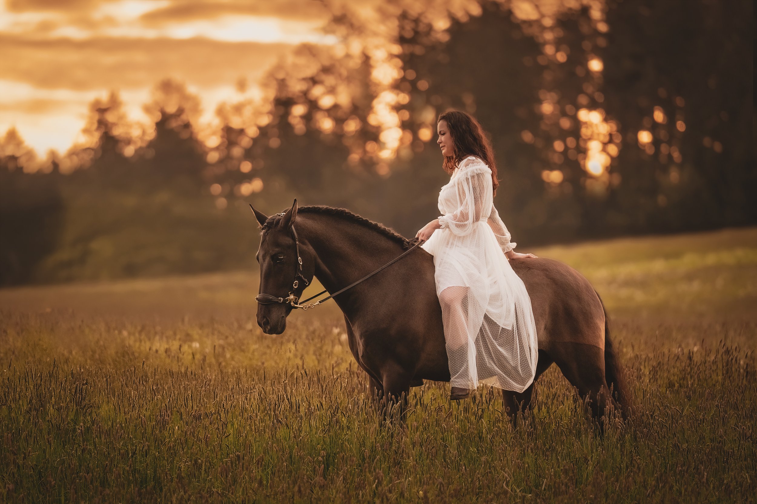 Tierfotografie. Fotoshooting mit Pferd