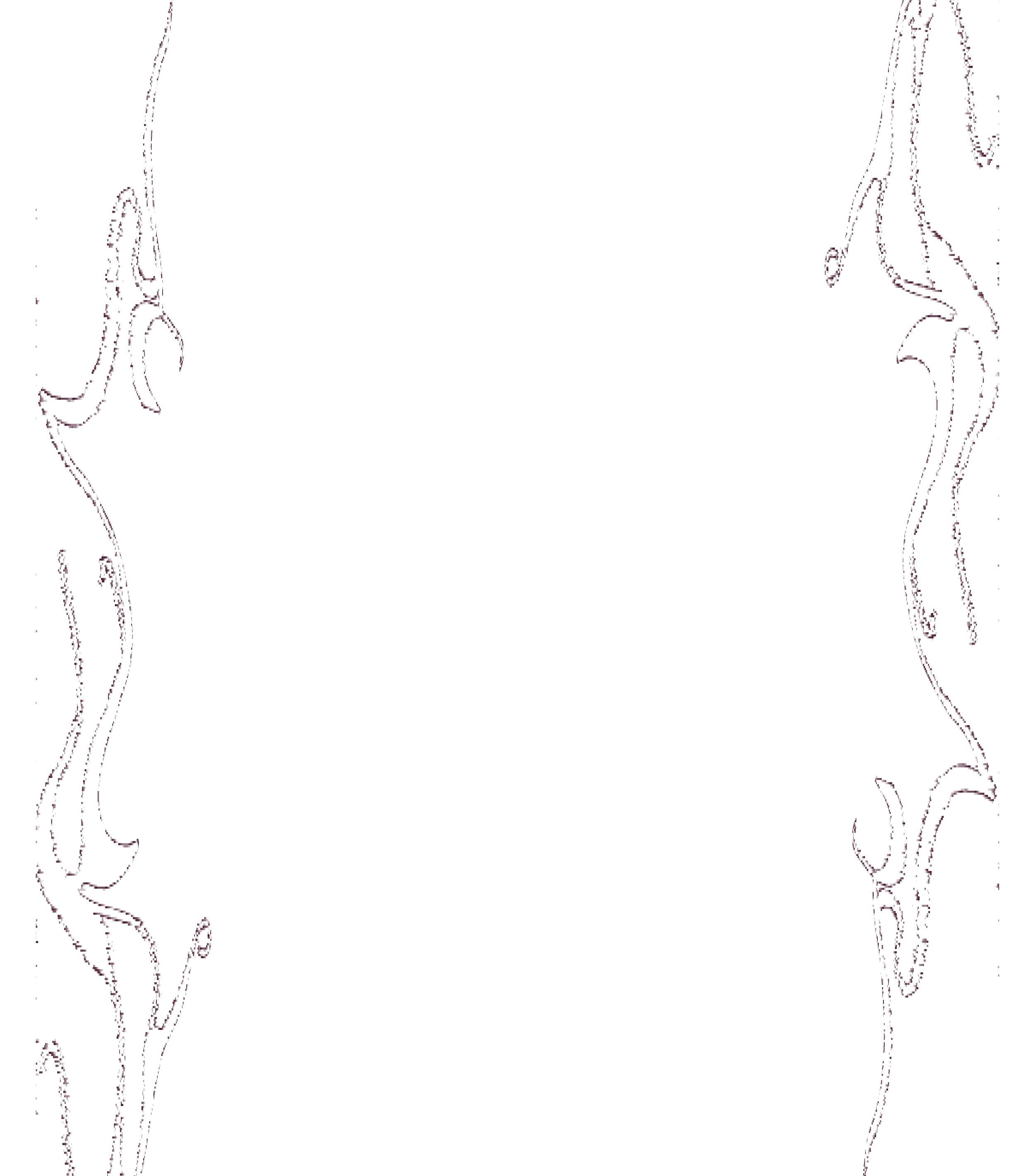 web doodle for laptop-02.png