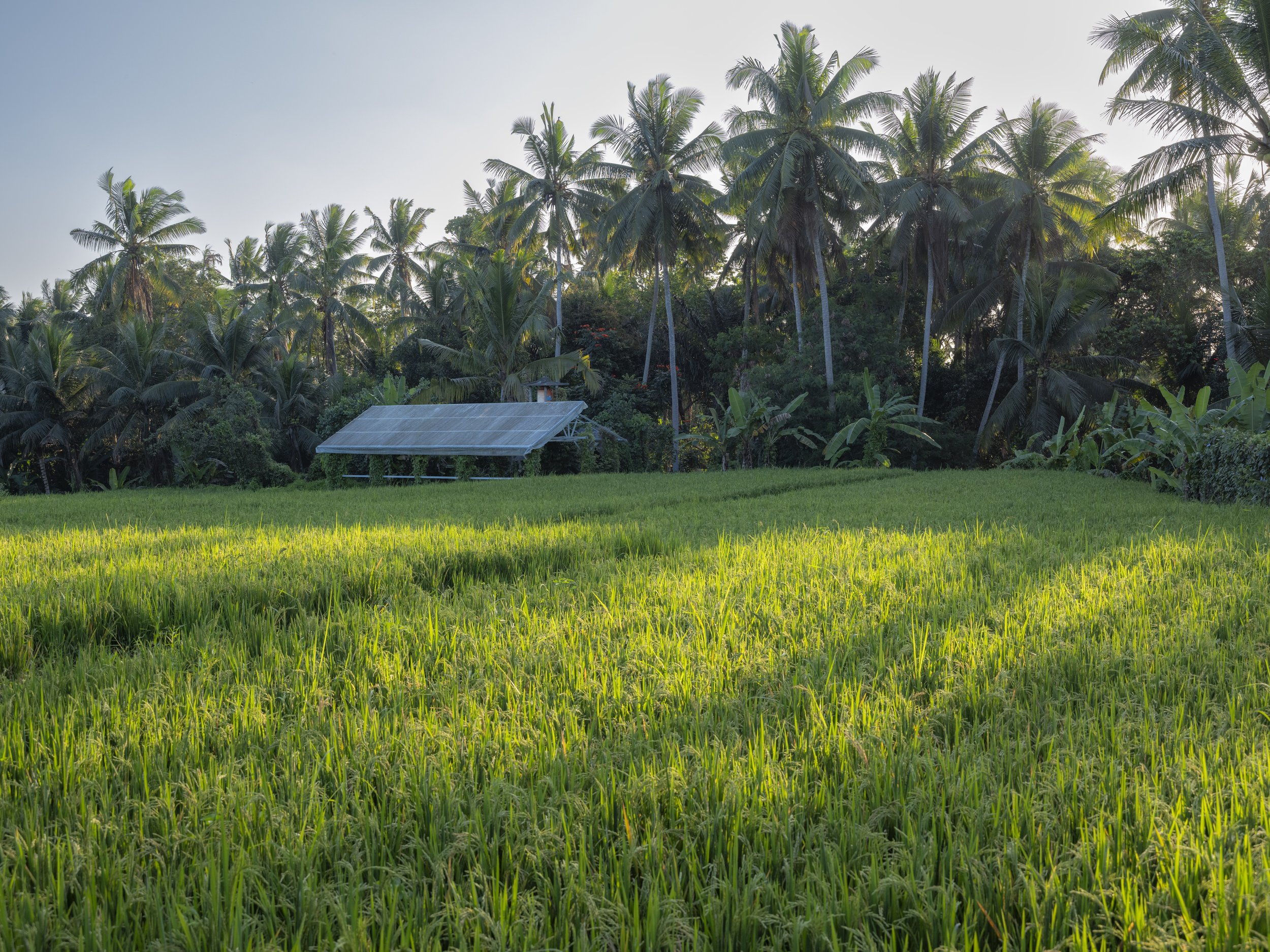 Bali