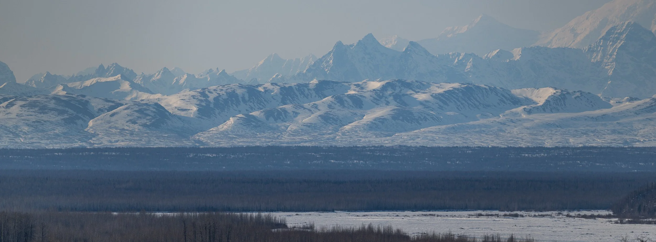 DENALI NATIONAL PARK