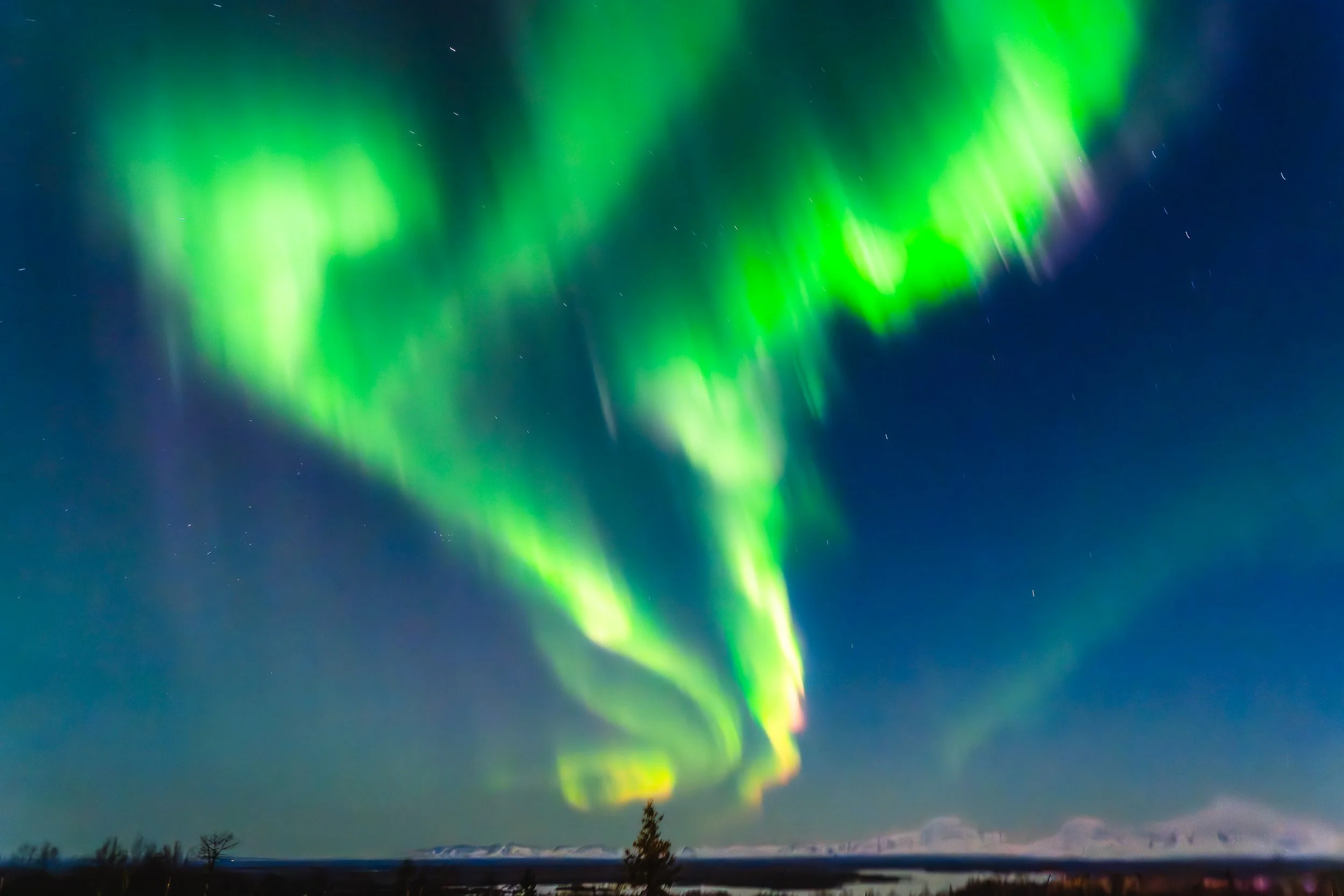 NORTHERN LIGHTS