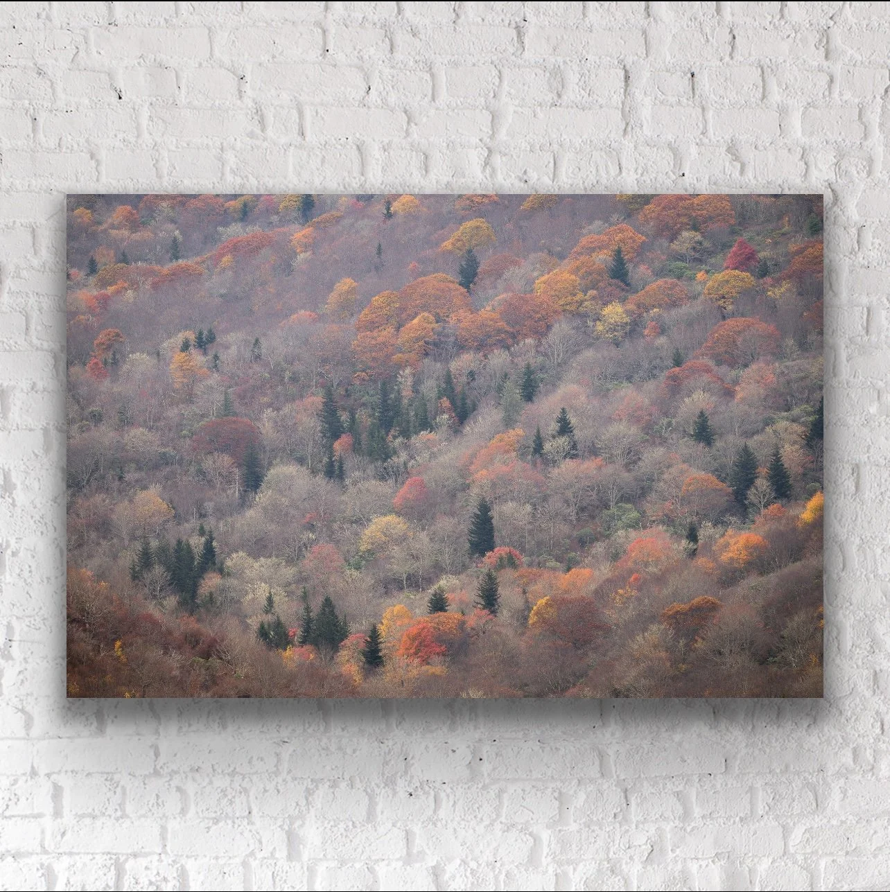 Autumn's Last Breath