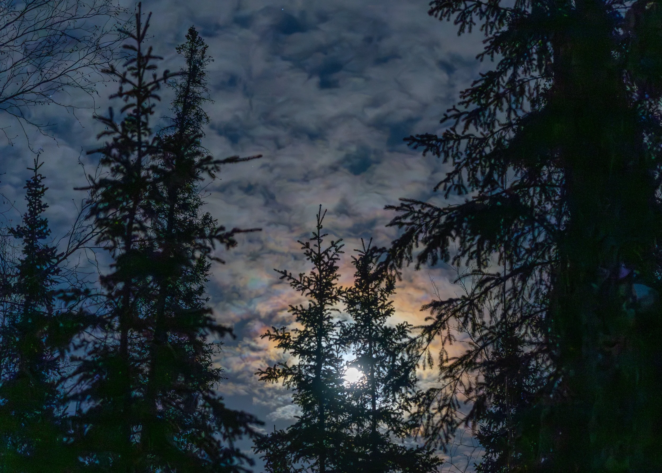 MOONGLOW