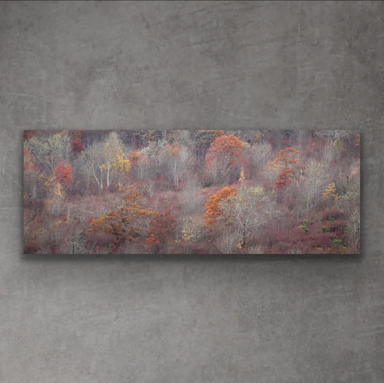 Branches Of Burnt Orange