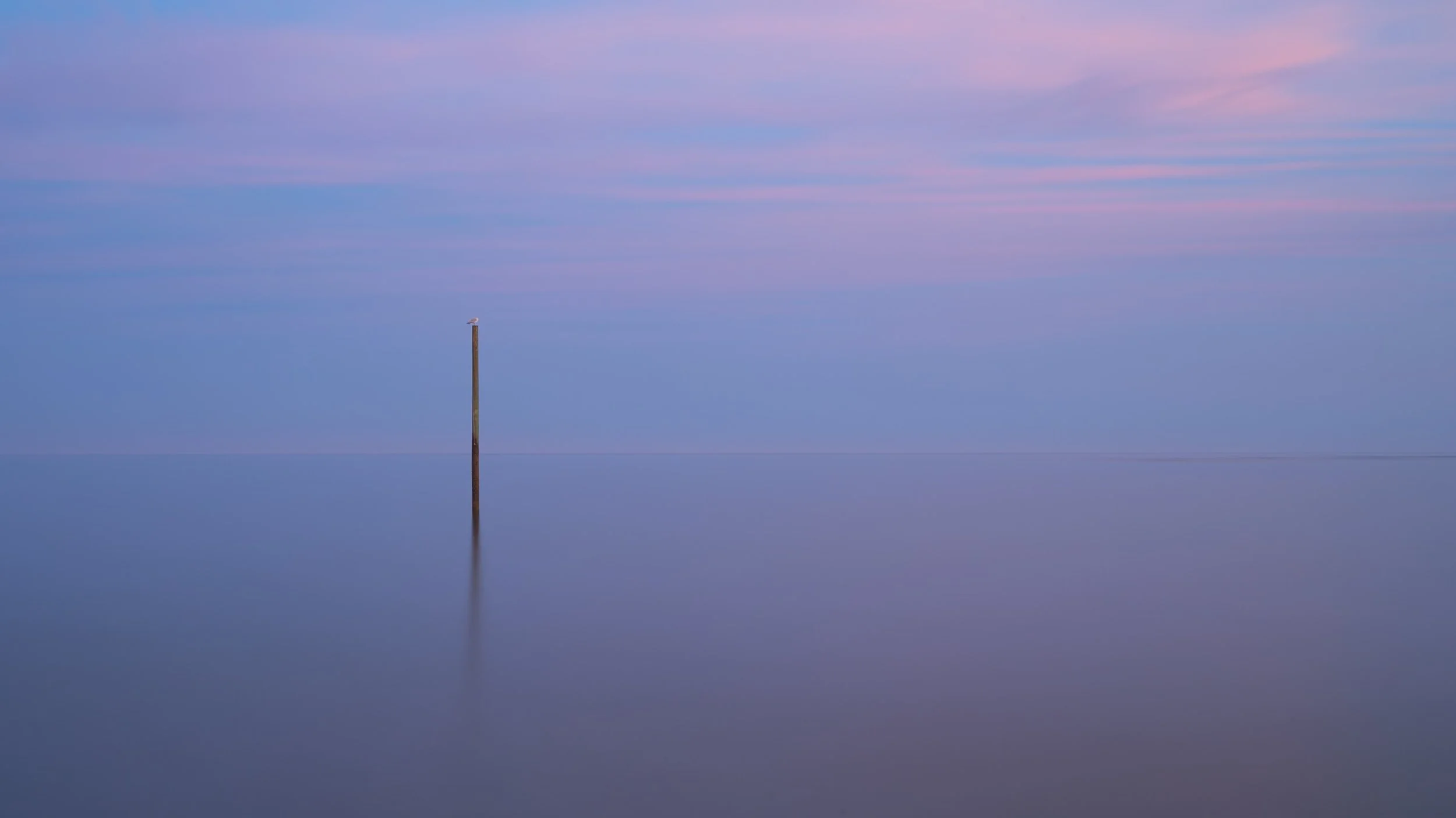 Lonely Perch