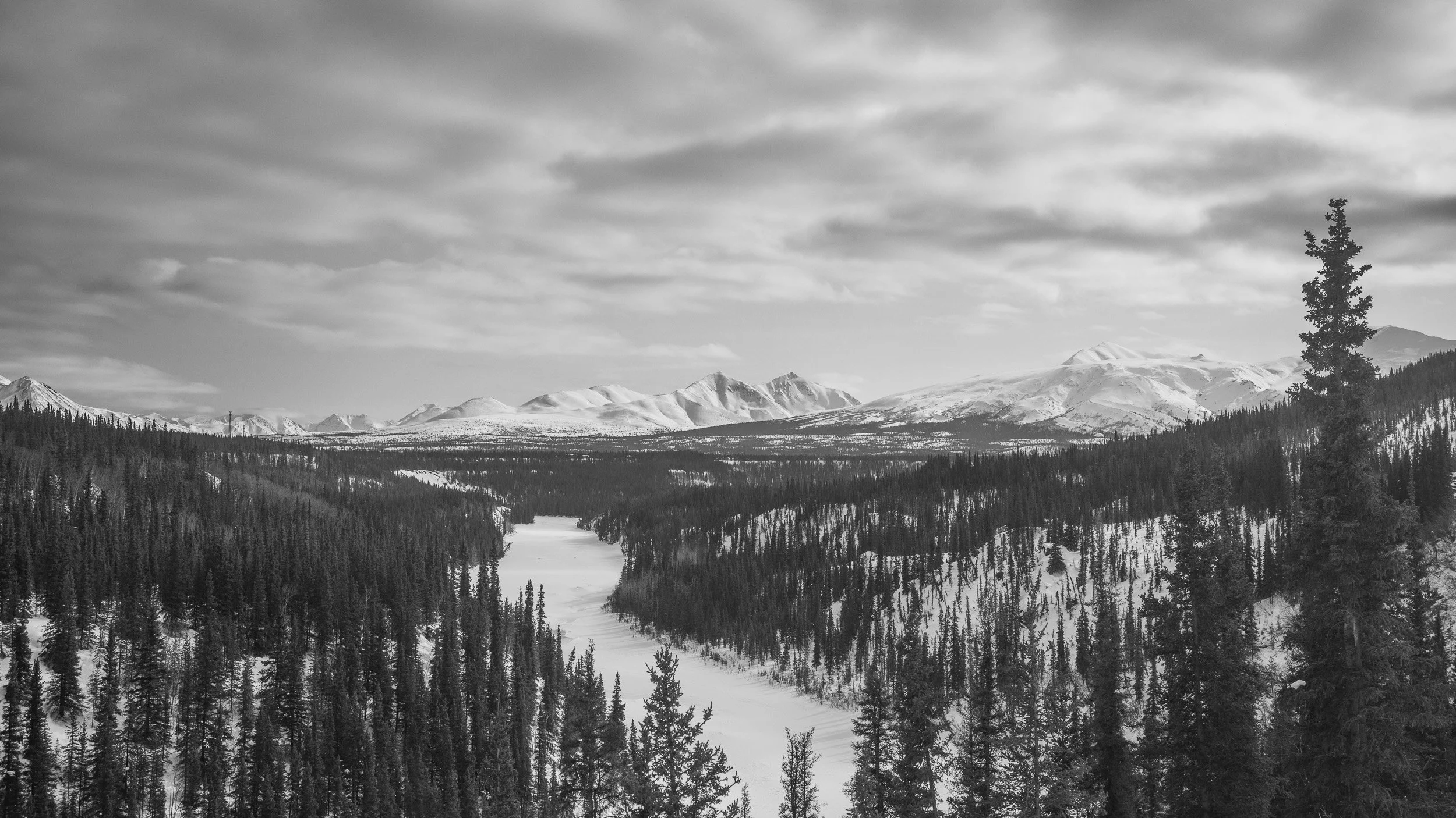 VIEW FROM ALASKA RAILROAD