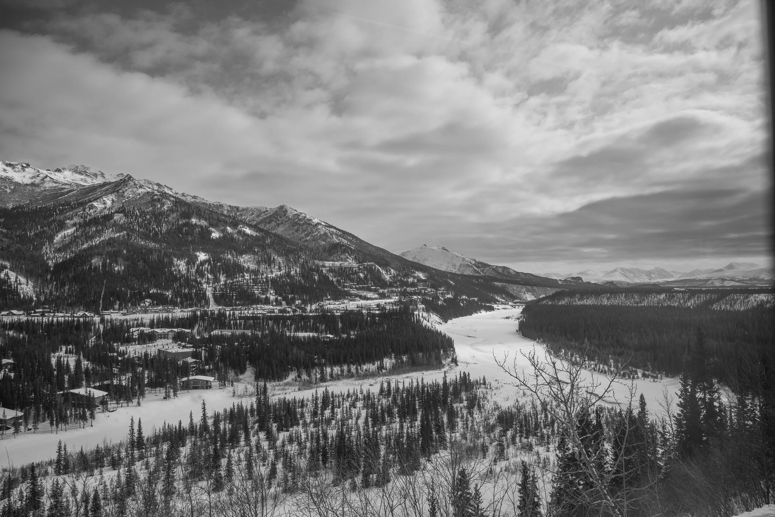 VIEW FROM ALASKA RAILROAD