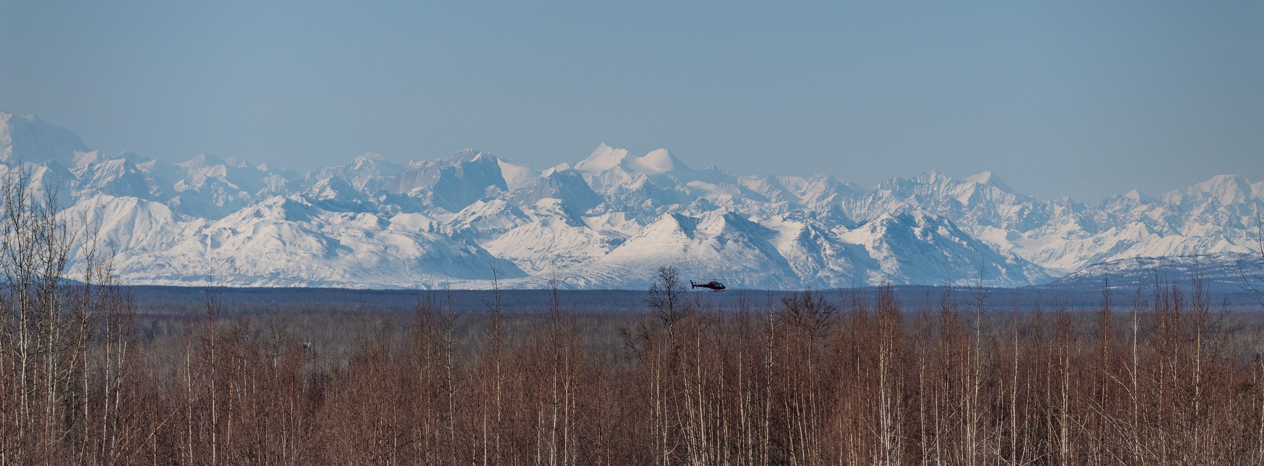 DENALI NATIONAL PARK