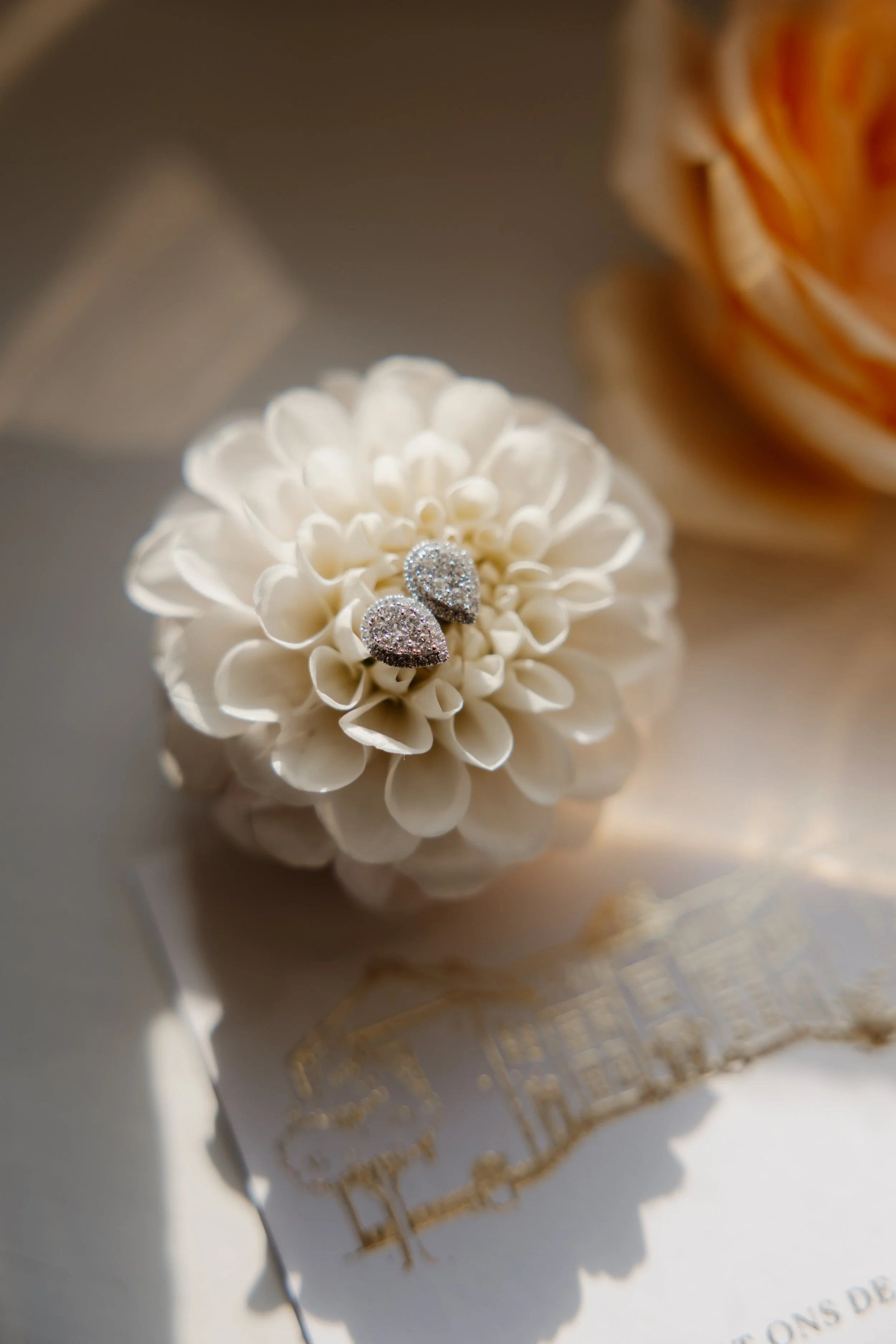 Dottens-E&Y-IMG_9395 2.jpg